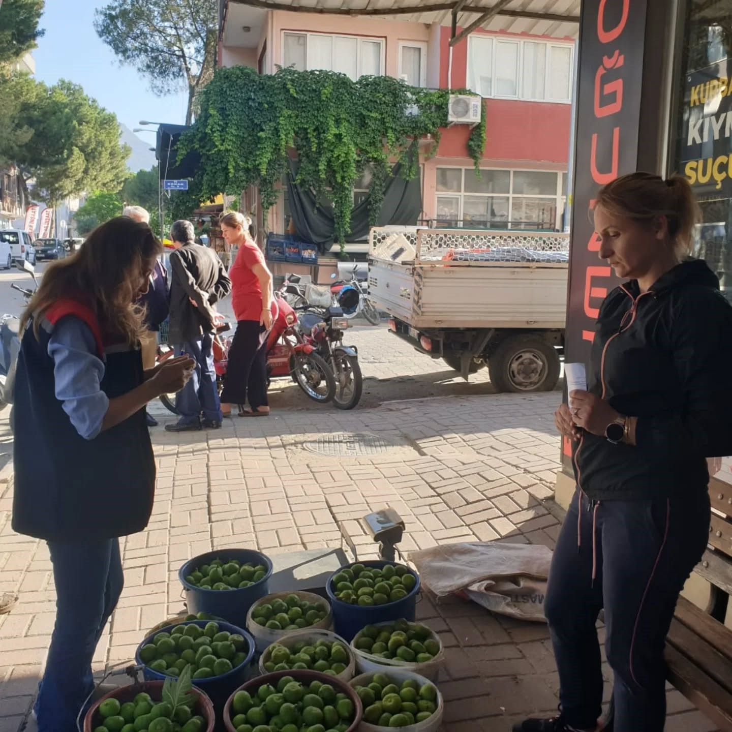 Aydın’da Ilekler Tezgaha Çıktı (3)