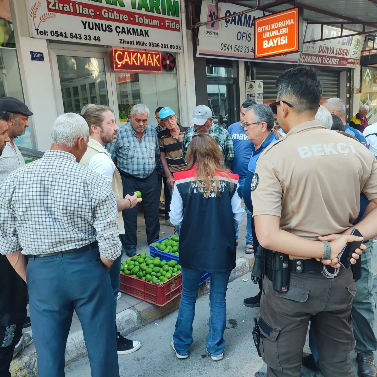 Aydın’da Ilekler Tezgaha Çıktı (4)