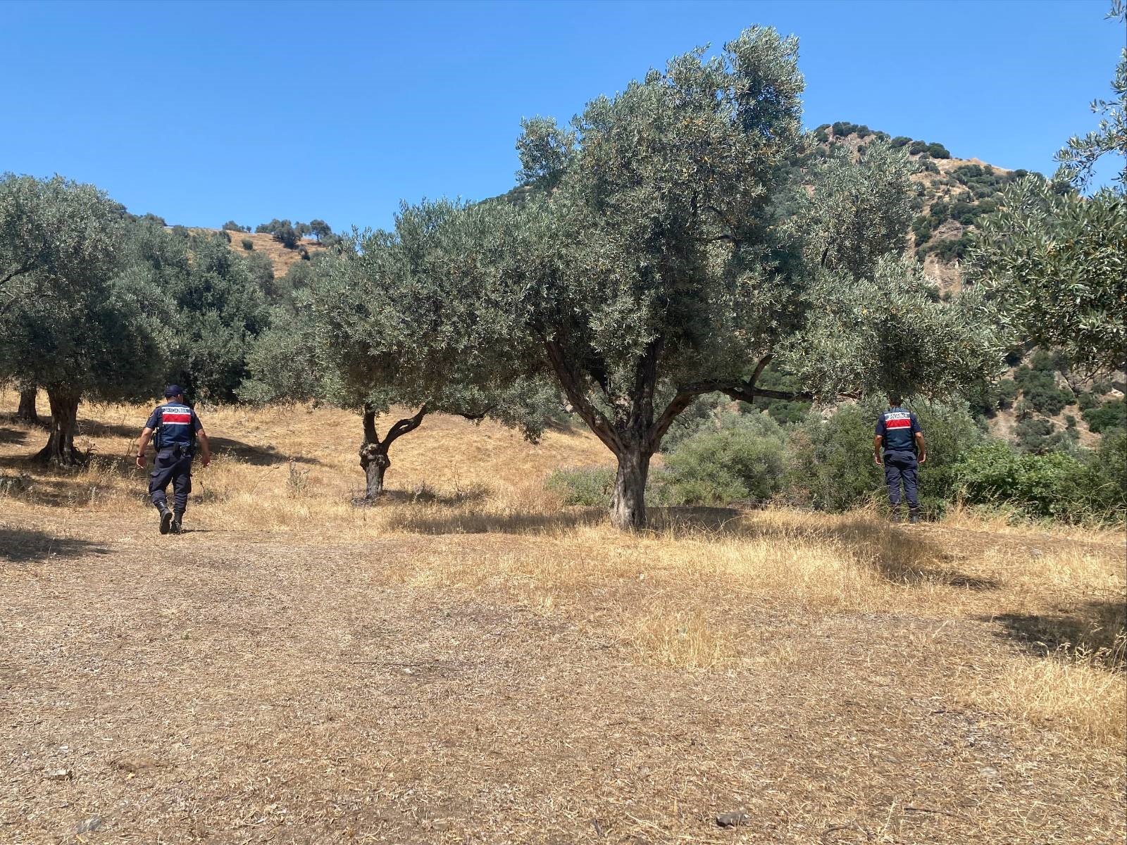 Aydın’da Jandarma Alarma Geçti.. İha, Dron, Personel Ile 724 Denetim (6)