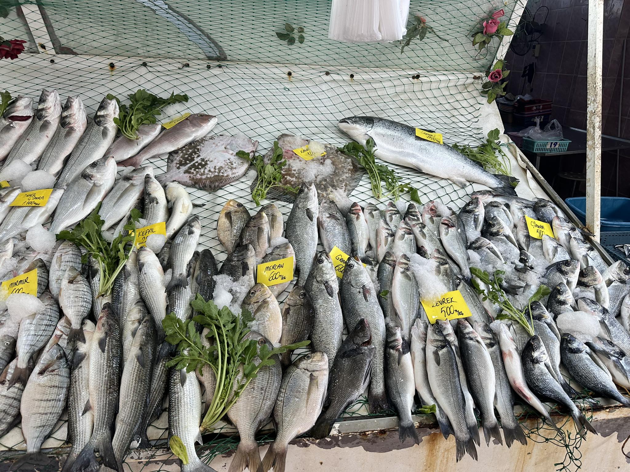 Aydın’da Pazar Çantaları Boş Kalıyor.. Vatandaş Elini Uzatamıyor (4)