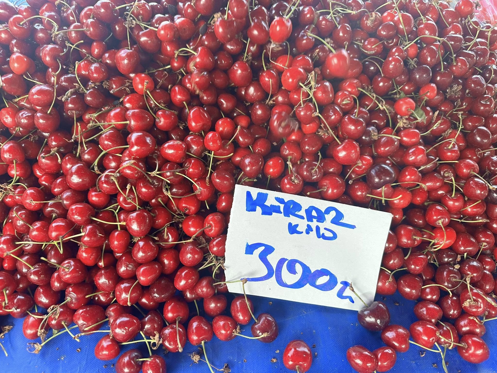 Aydın’da Pazar Çantaları Boş Kalıyor.. Vatandaş Elini Uzatamıyor (5)
