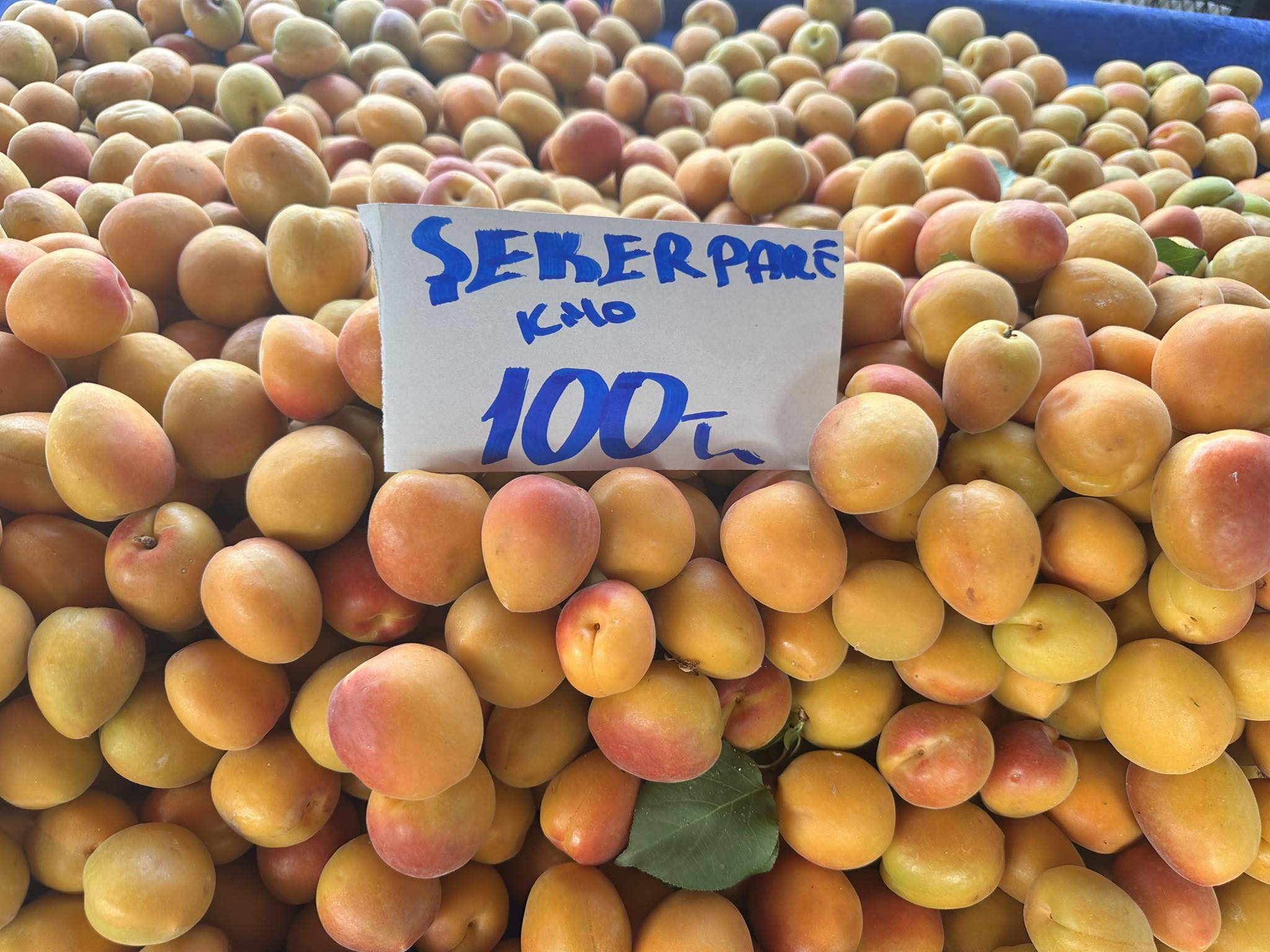 Aydın’da Pazar Çantaları Boş Kalıyor.. Vatandaş Elini Uzatamıyor