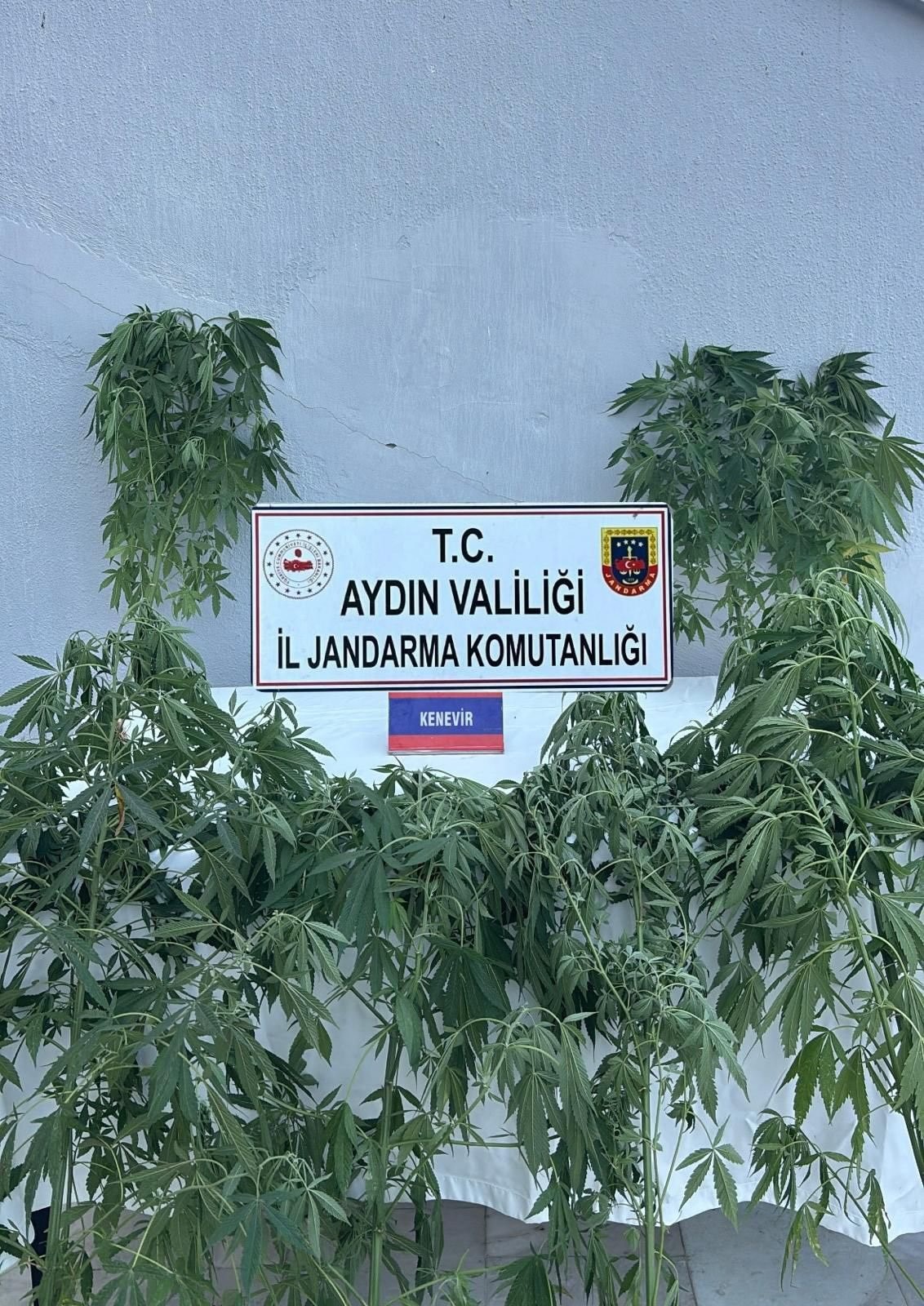 Aydın’da Uyuşturucu Operasyonunda 16 Kişi Gözaltına Alındı (3)