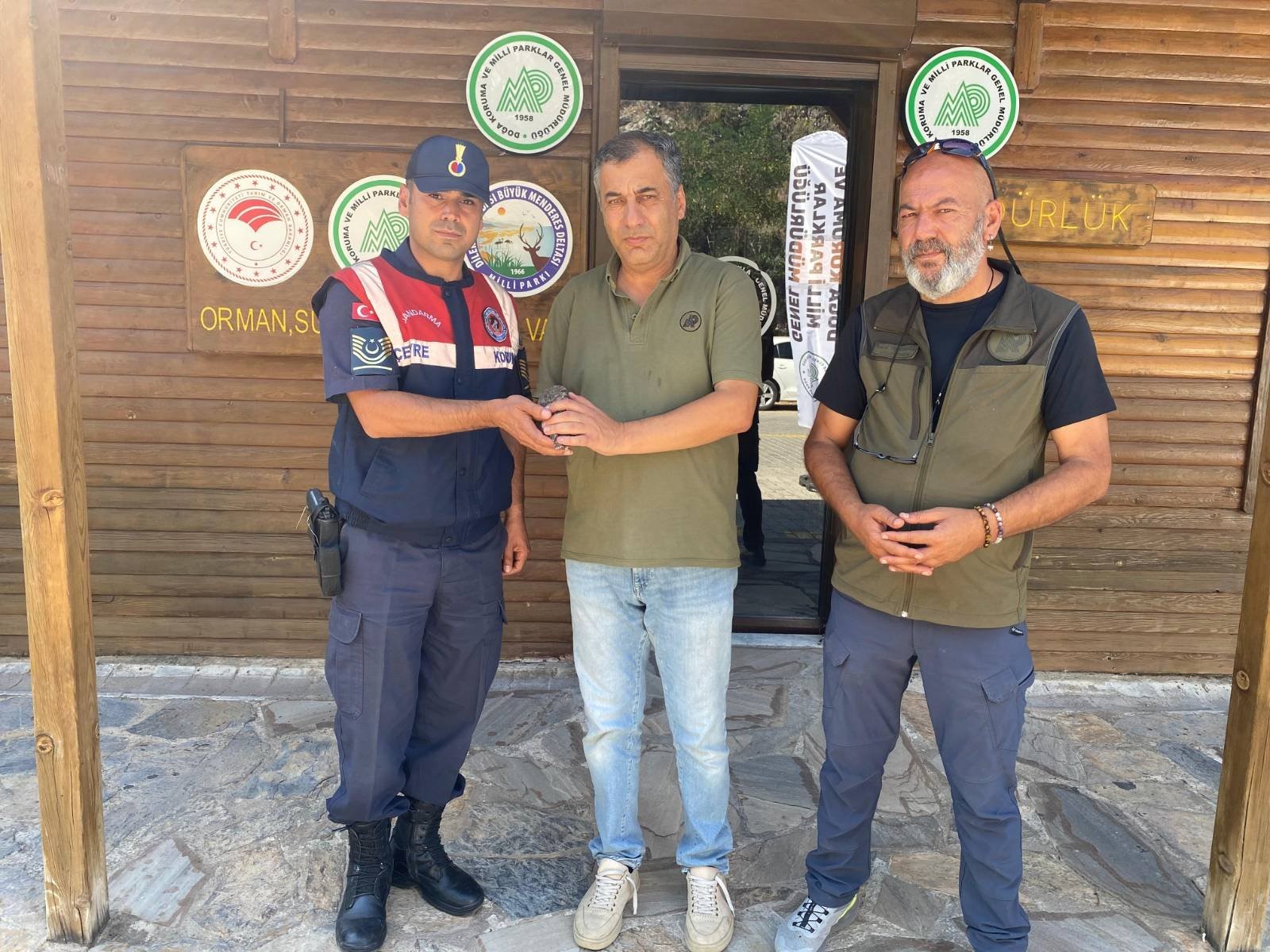 Aydın’da Yaralı Baykuş Kurtarıldı (2)