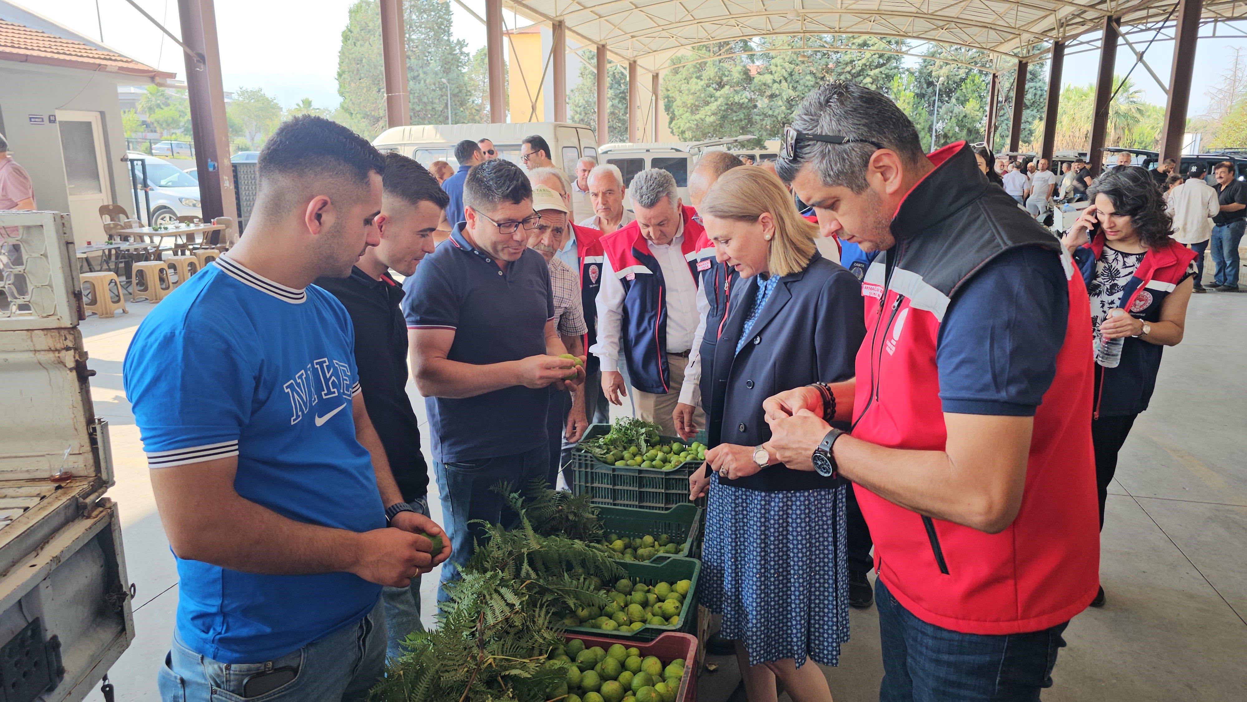Aydın’da Yetişen Bu Meyvenin Eşi Benzeri Yok (3)
