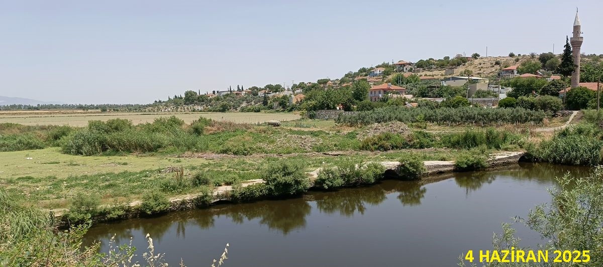 Aydın’daki Köprü Yeşillendi (3)