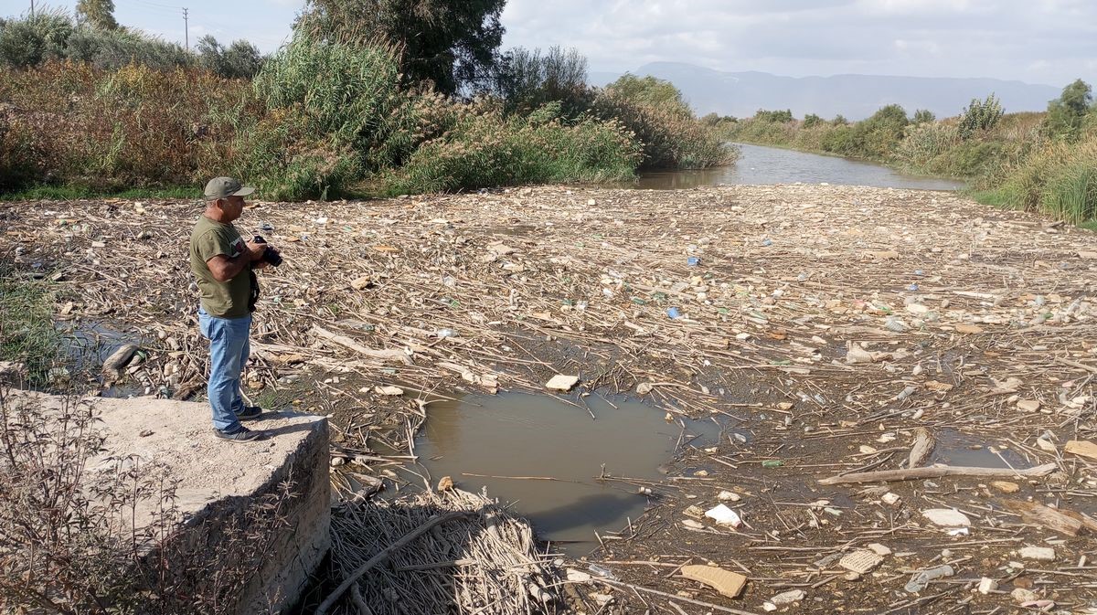 Aydın’daki Köprü Yeşillendi (5)
