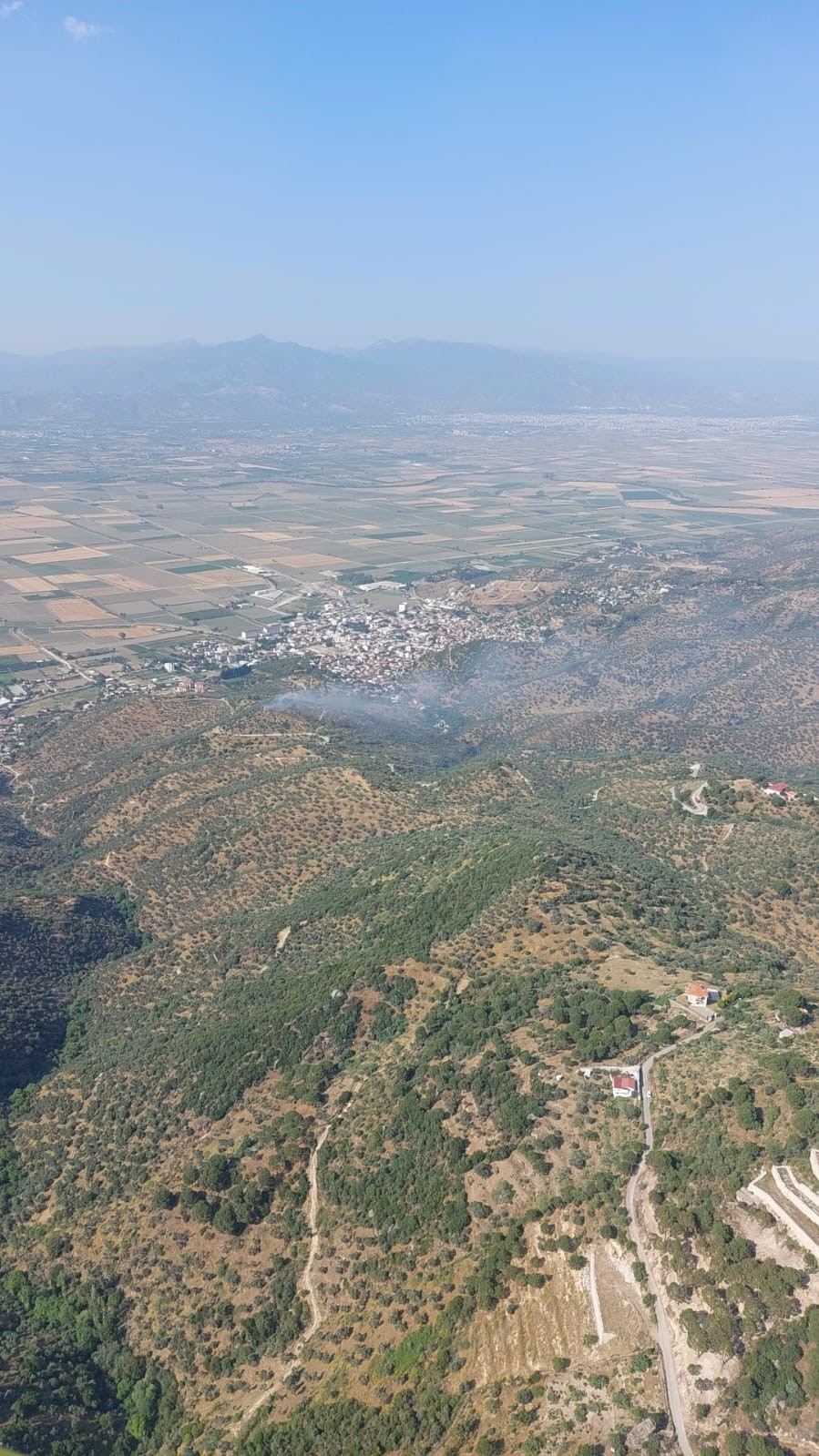 Aydın’daki Zeytinlik Yangını Korkuttu (3)