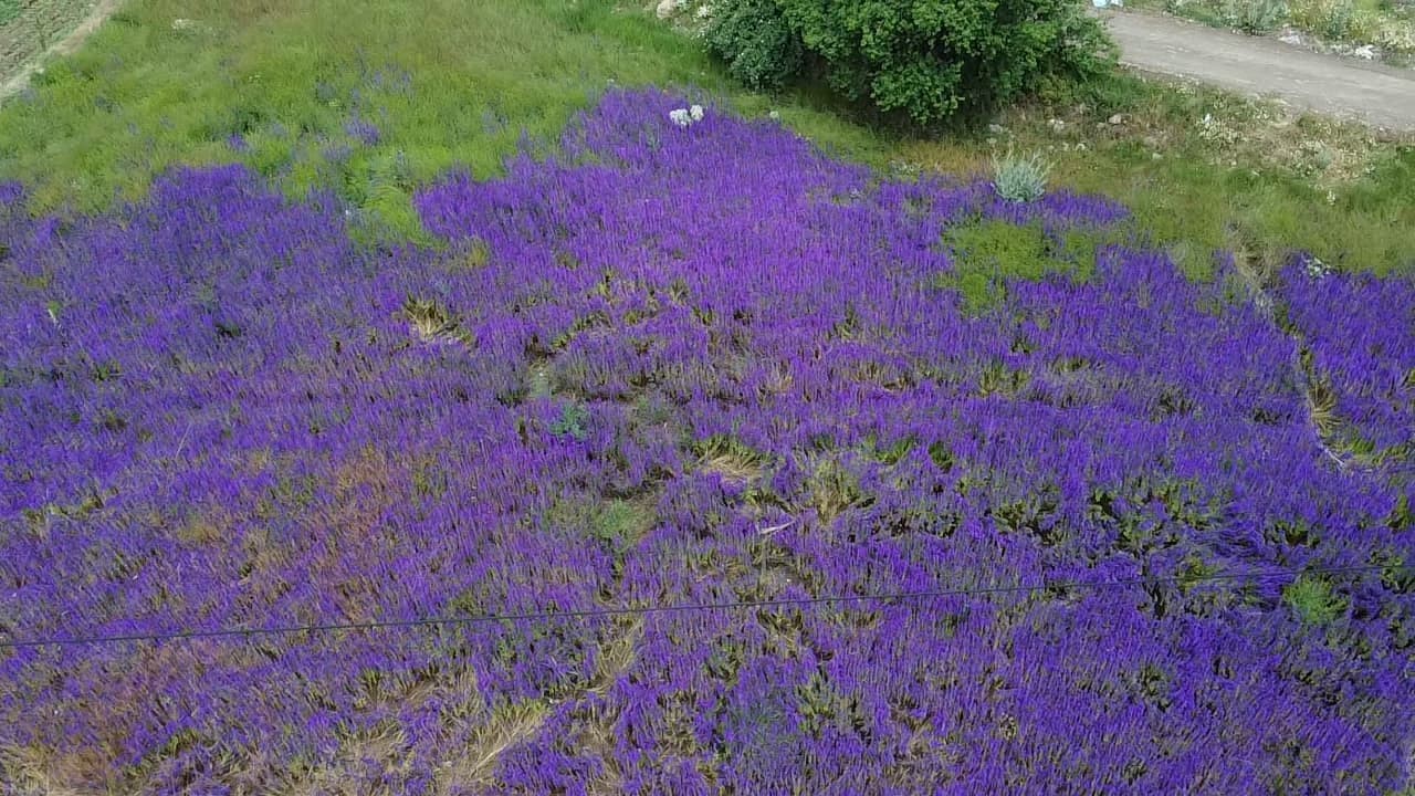 Buradan Geçen Fotoğraf Çekmeden Ayrılmıyor (2)