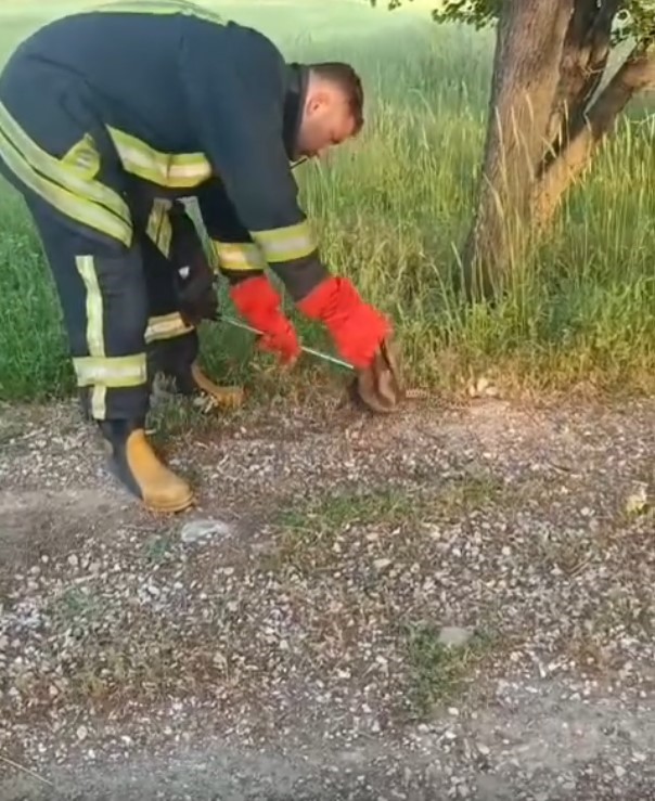 Ekipler Harekete Geçti.. Arazide Yakalandı (6)