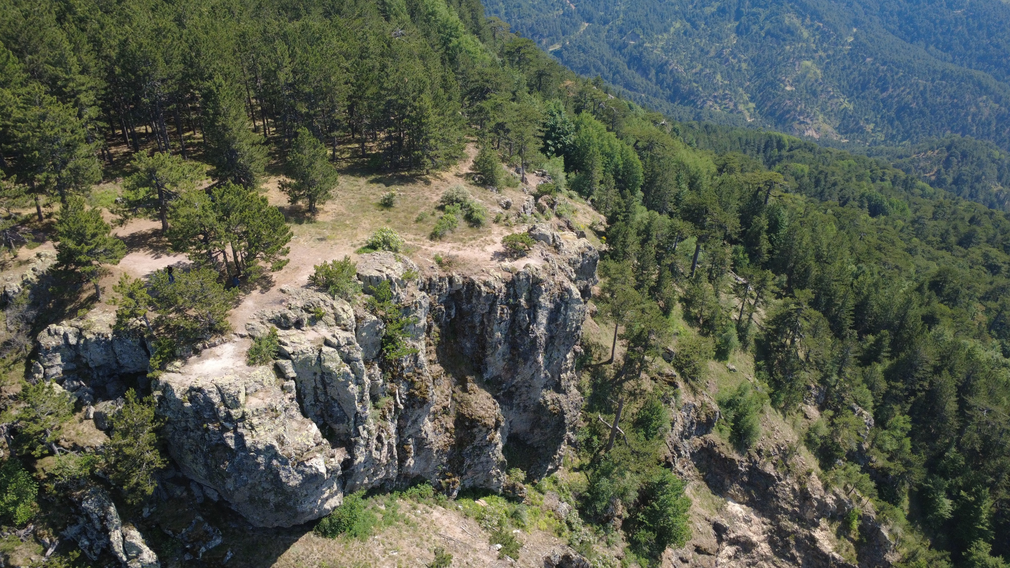 Gelin Uçtu Tescillendi (4)