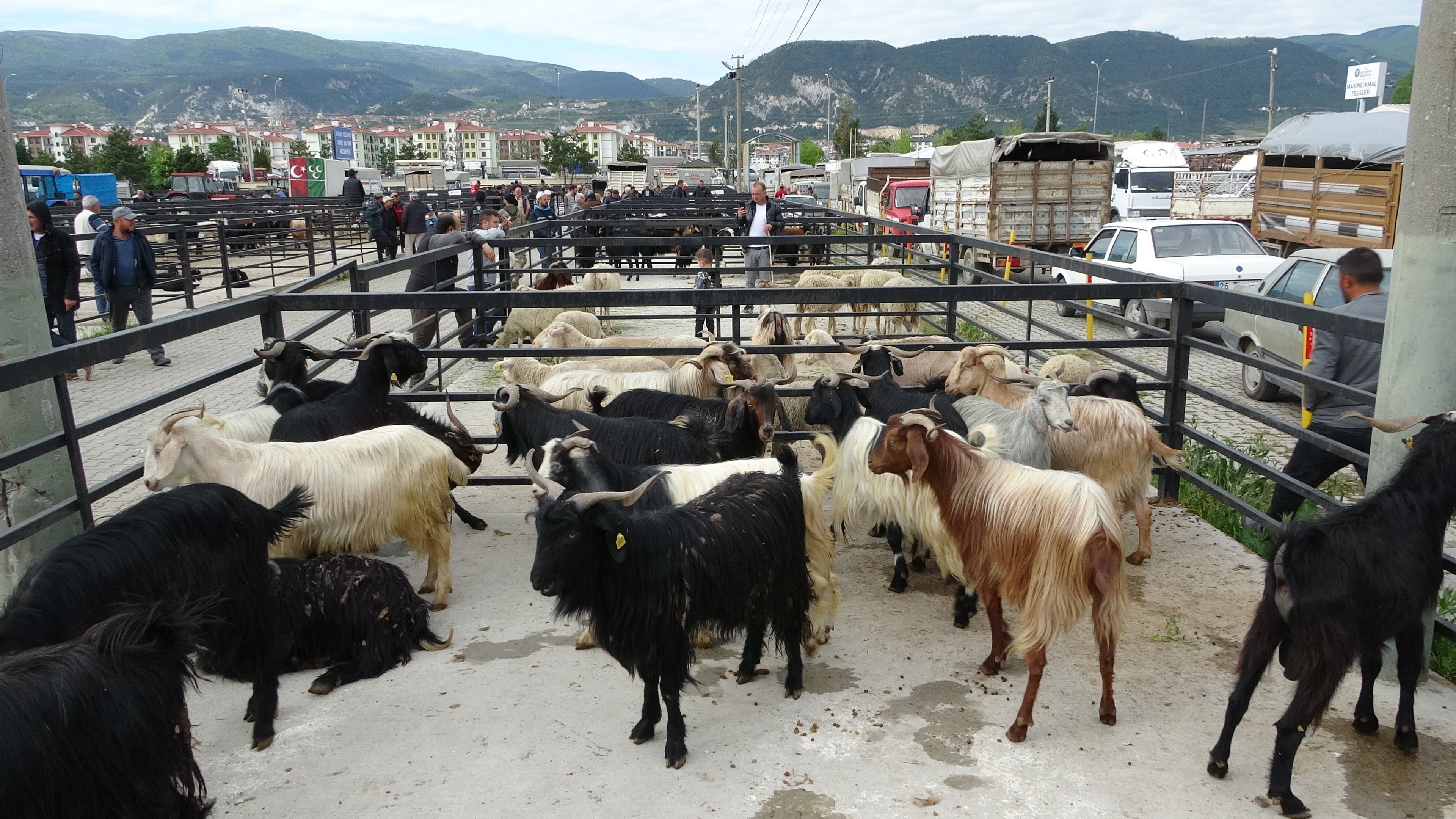Hayvan Pazarı Ikinci Bir Emre Kadar Kapatıldı