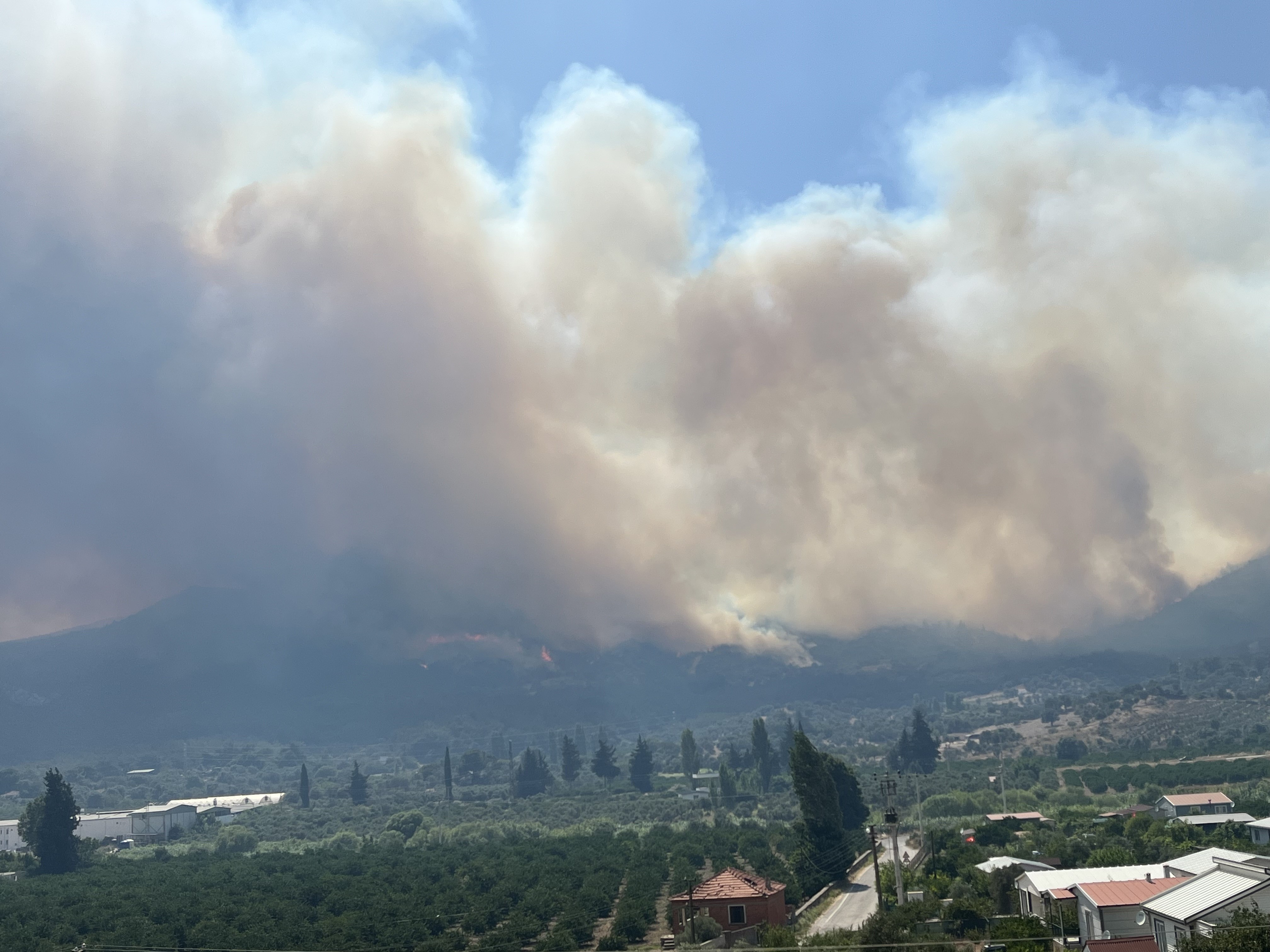 İzmir'de Yangınla Mücadelede Son Durum (4)