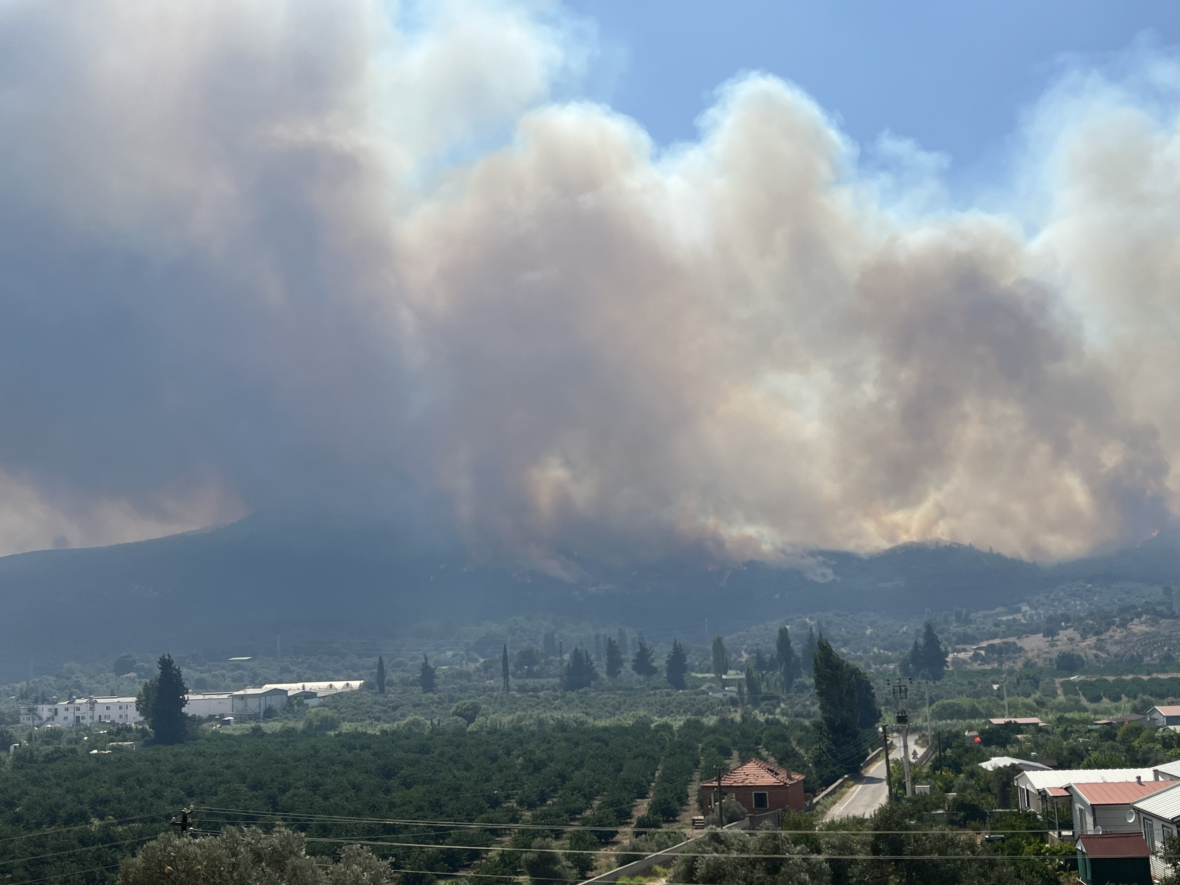 İzmir'de Yangınla Mücadelede Son Durum (8)