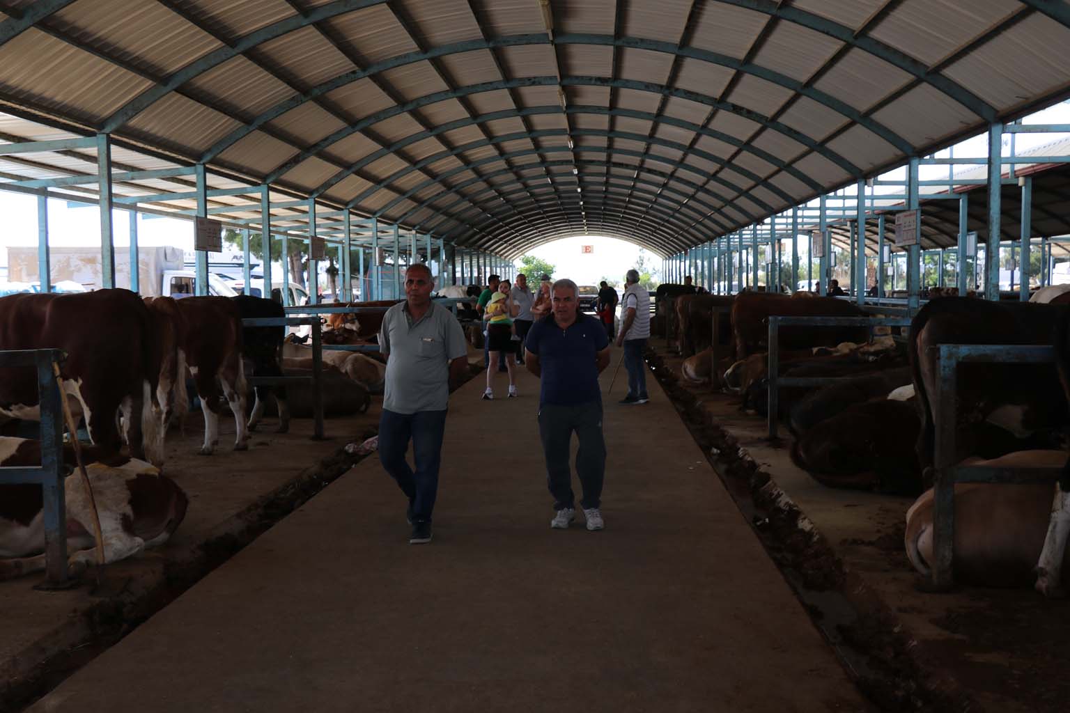 Kurbanlıkların Yanına Yaklaşılmıyor.. 24 Bin Liraya Koyun (10)