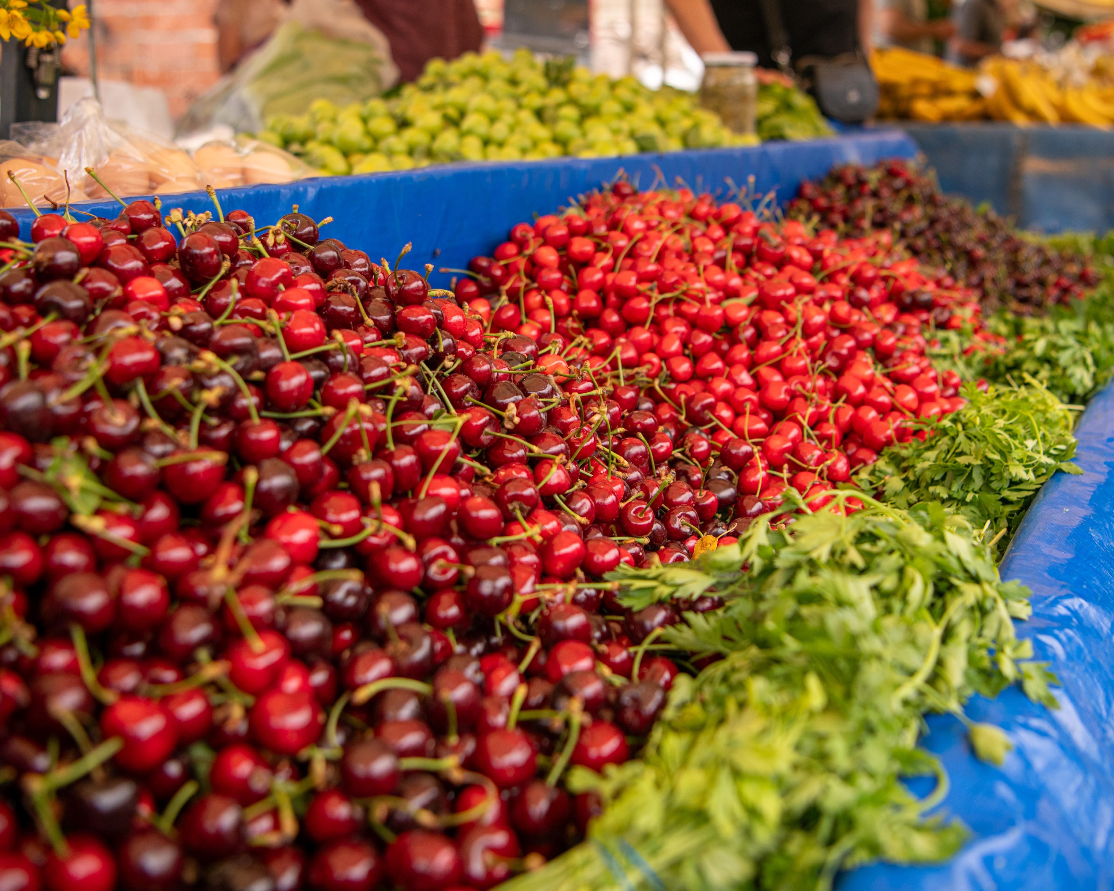 Kuşadası'nda Kiraz Şenliği Coşkusu (6)
