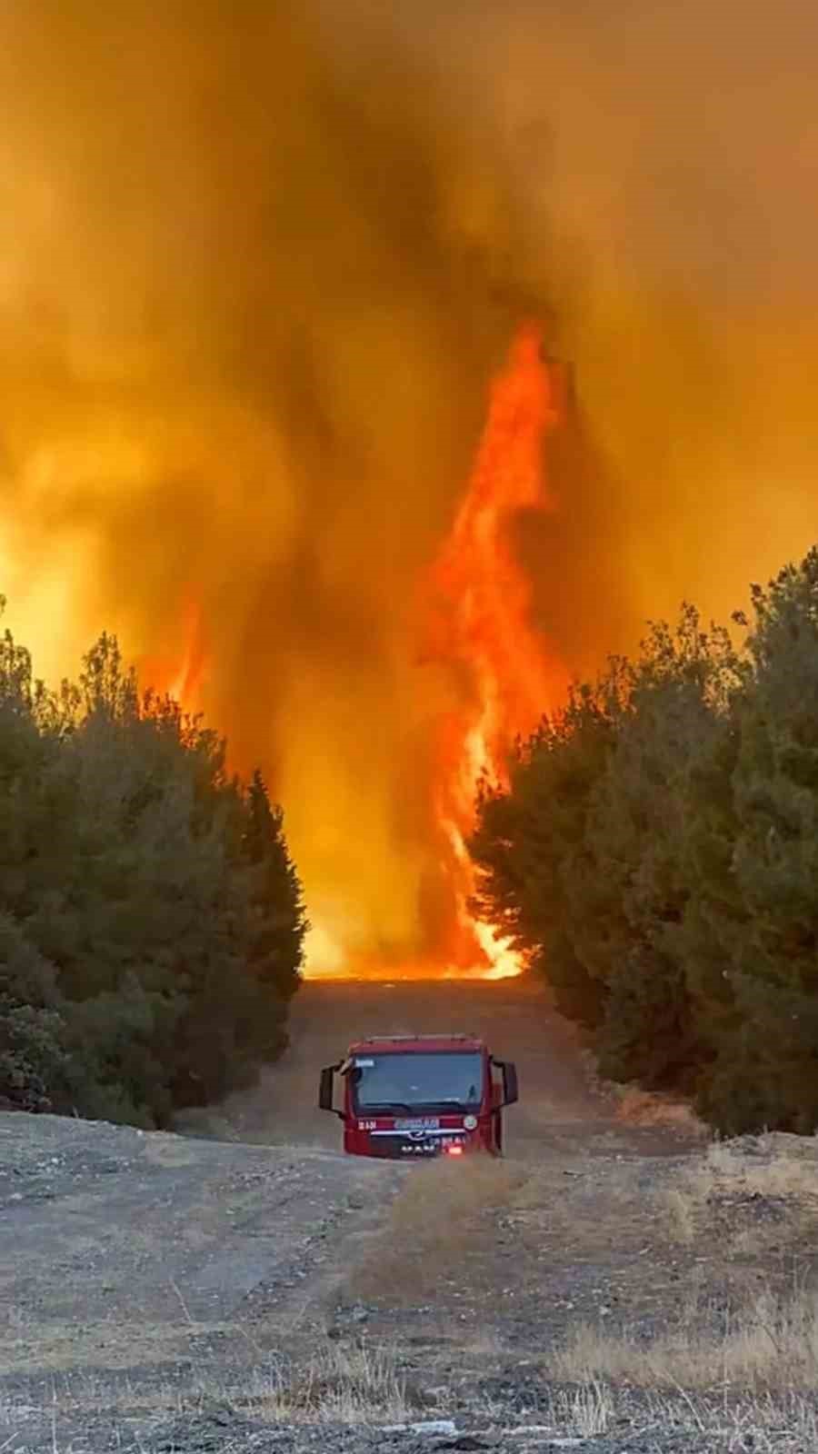 Orman Ekibi Alevlerin Arasında Kaldı (2)