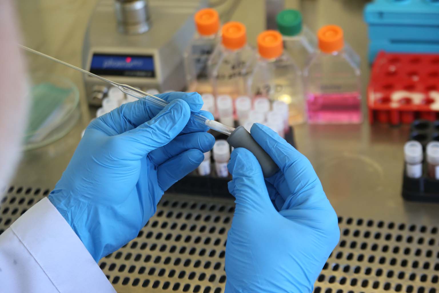 Uzmanlardan 'Yakarca' Uyarısı (5)