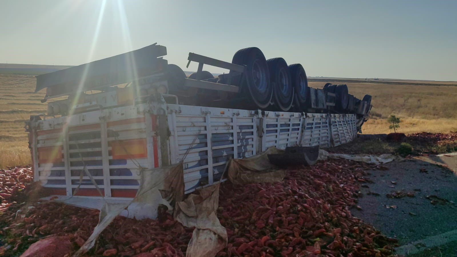 20 Ton Salçalık Biber Yola Dağıldı (2)