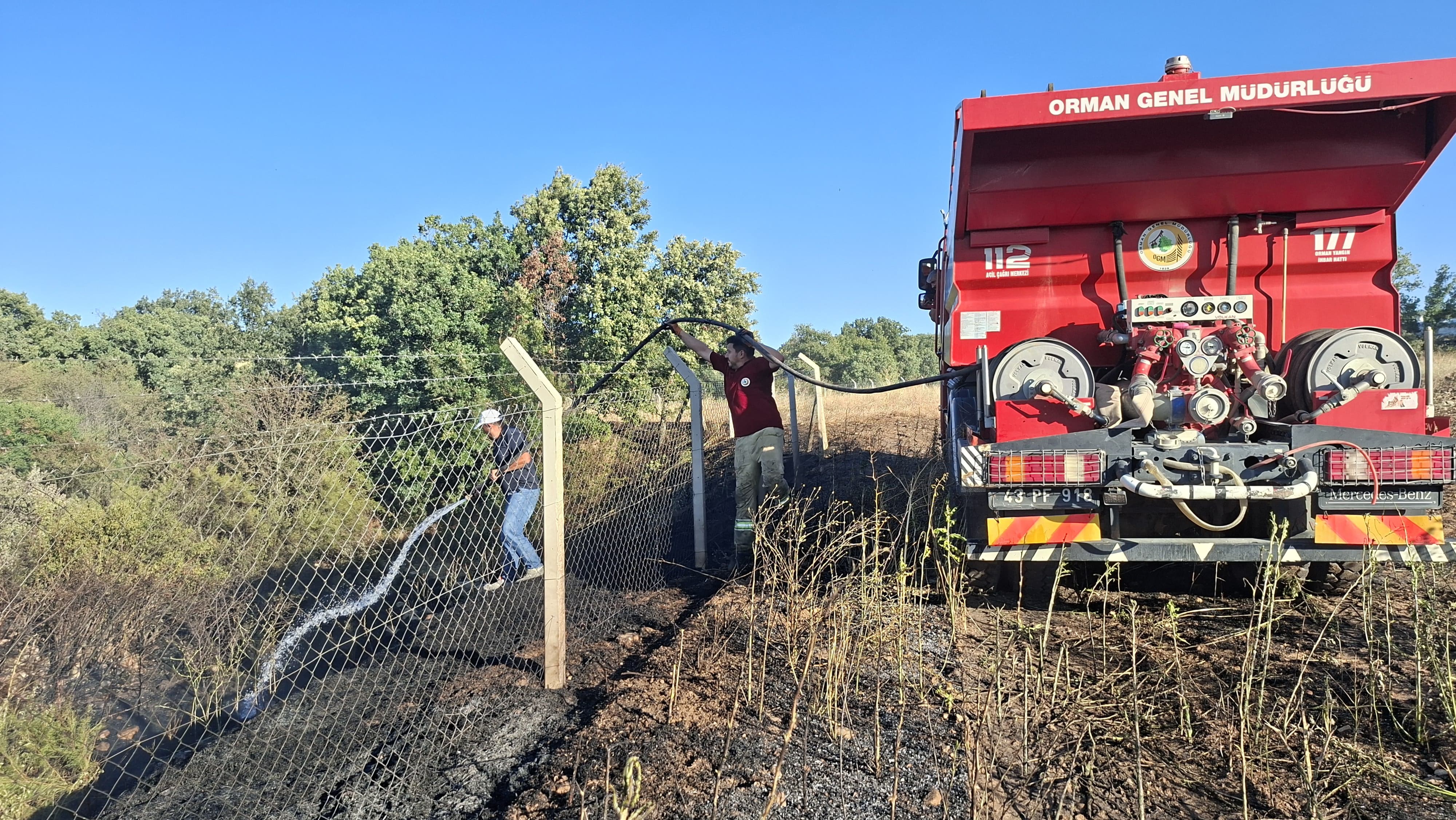 7 Dekar Alan Küle Döndü (3)