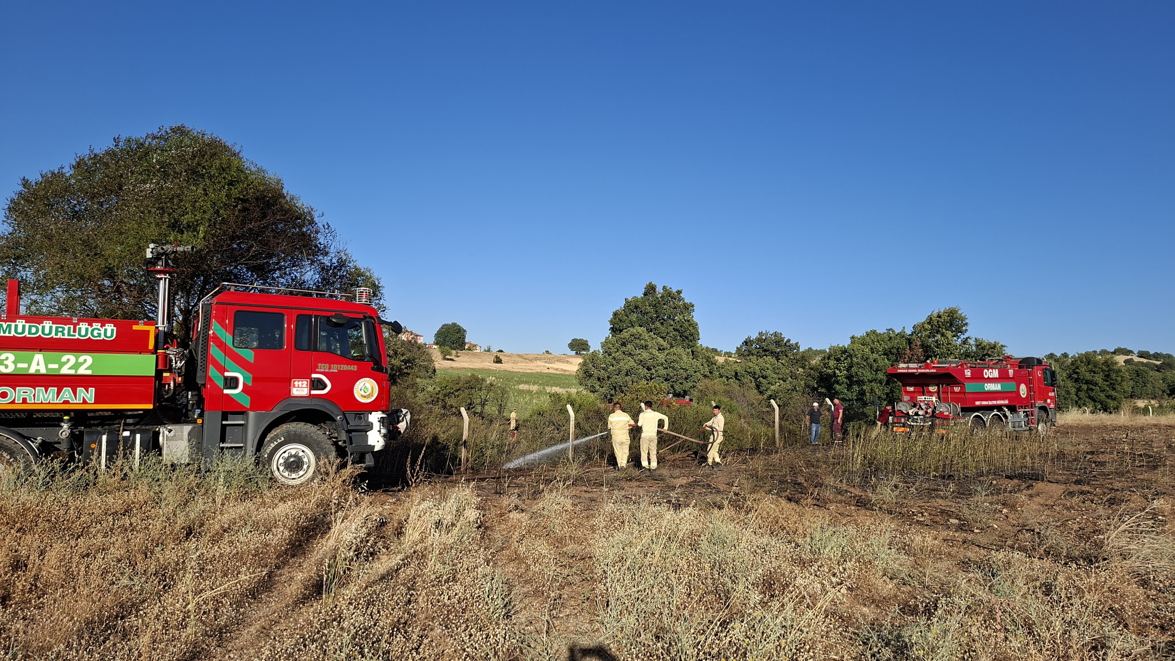 7 Dekar Alan Küle Döndü (4)