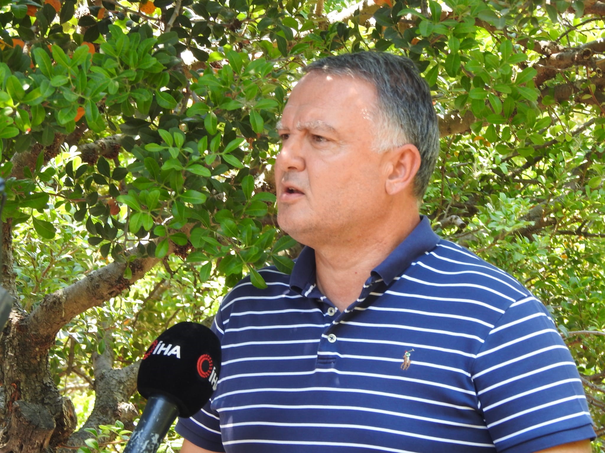Ağaçlar Damlıyor (5)