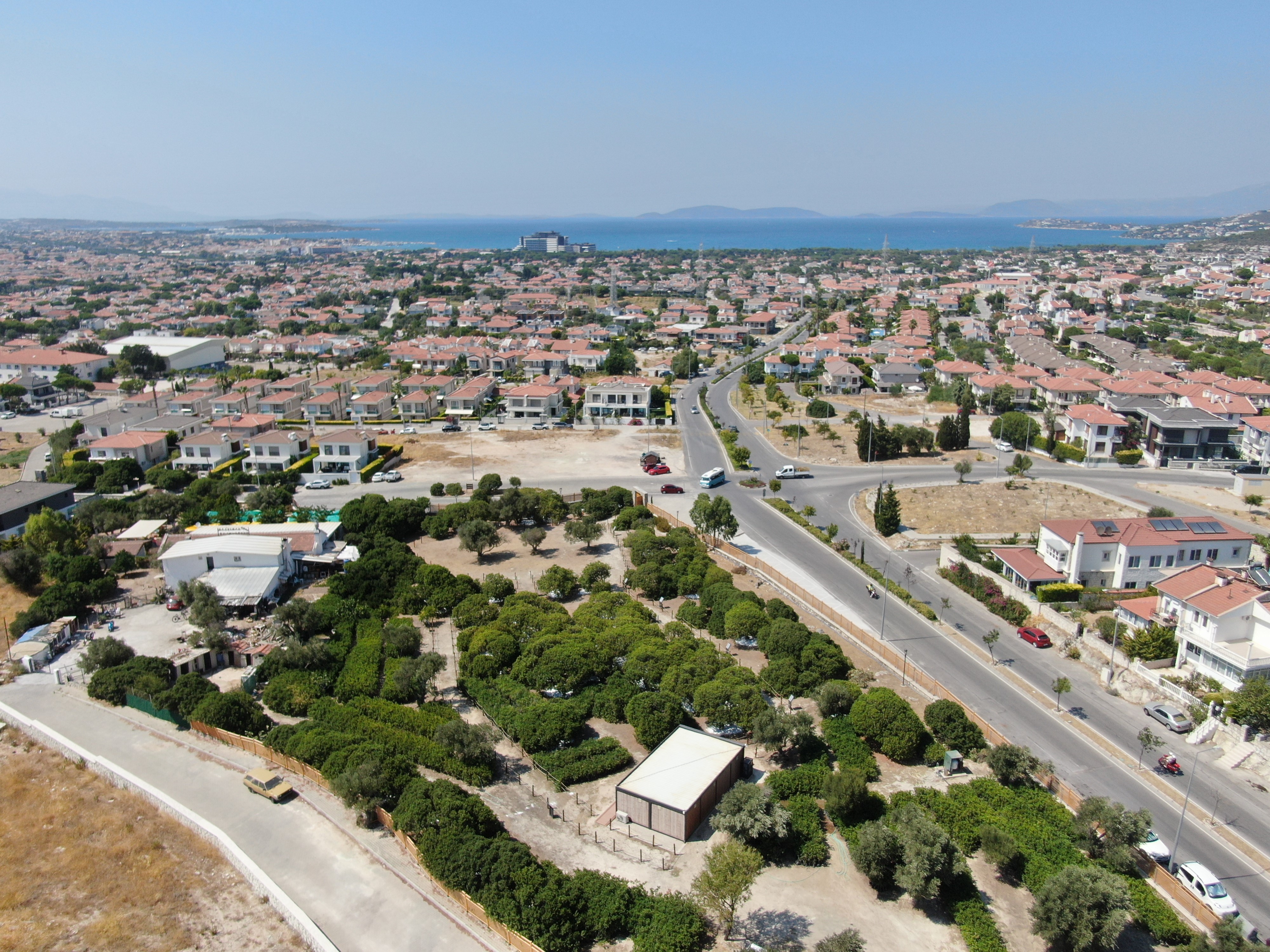 Ağaçlar Damlıyor (6)