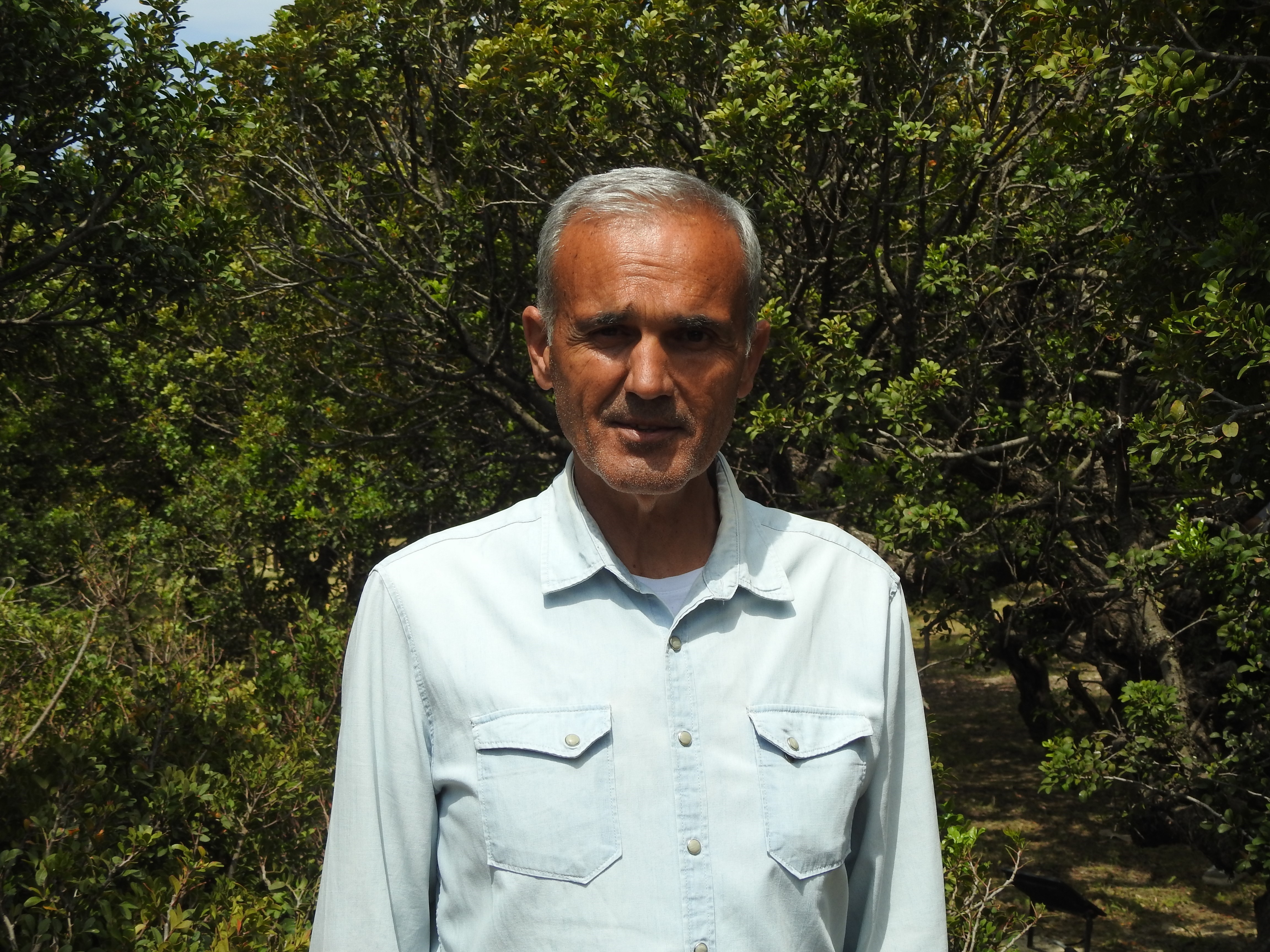 Ağaçlar Damlıyor (7)