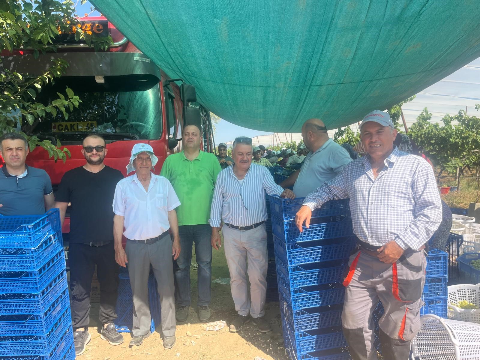 Avrupa Ve Arap Ülkeleri Bu Üzümün Peşinde (3)