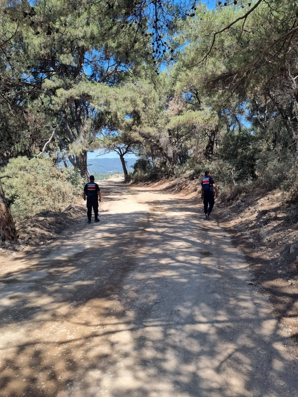 Aydın Jandarması Ormanı Didik Didik Aradı (5)