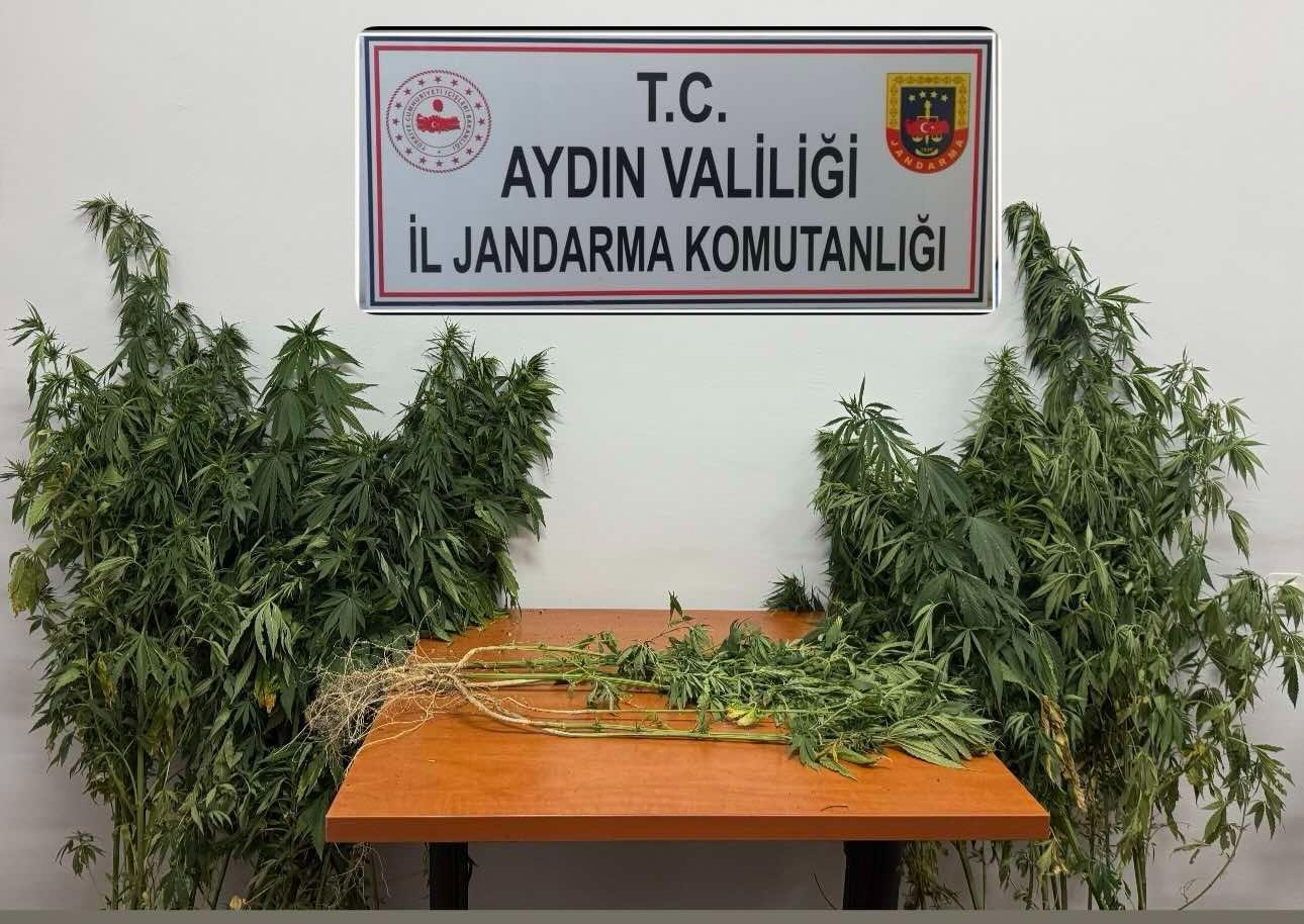Aydın Nazilli’de Kıskıvrak Yakalandılar