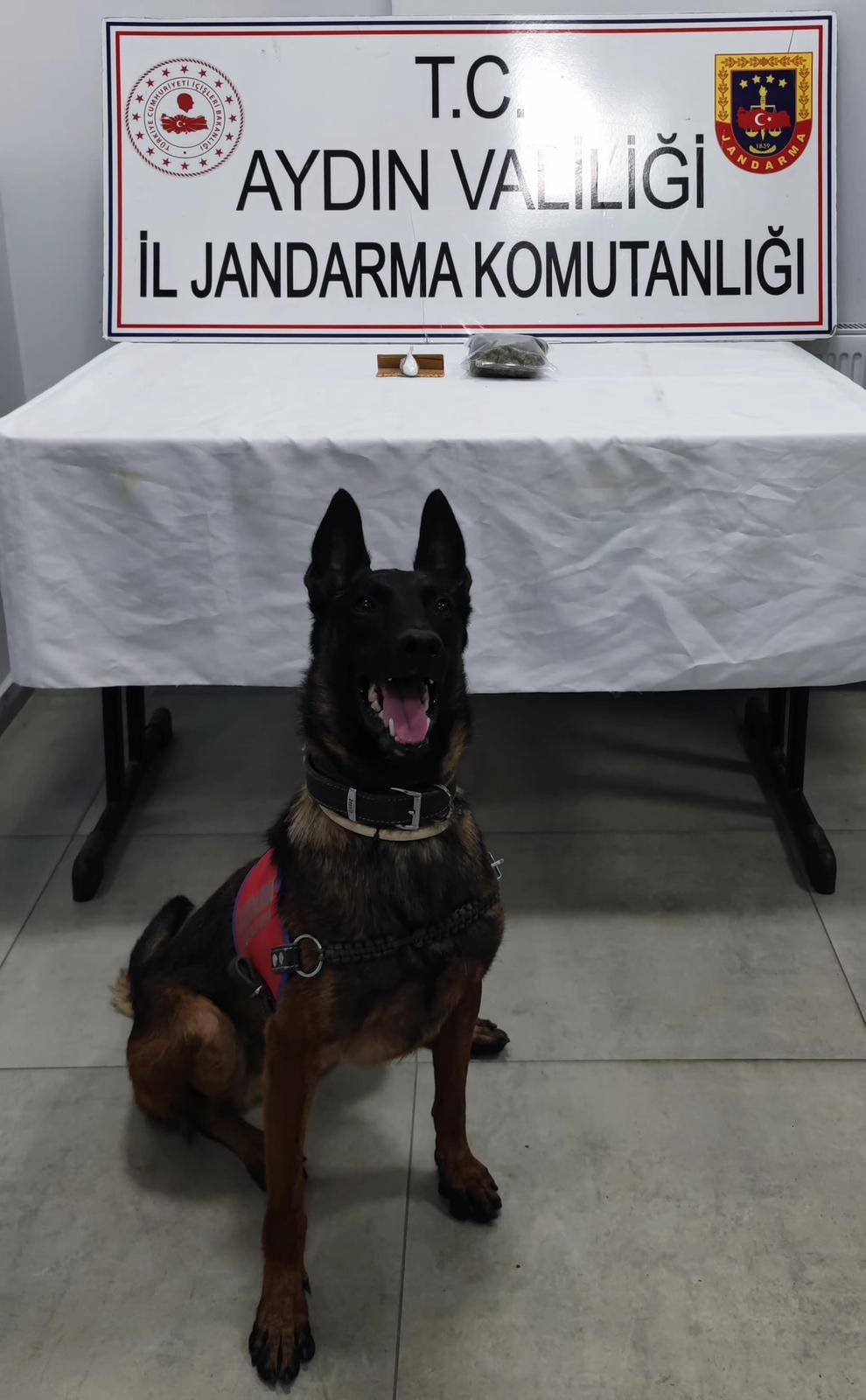 Aydın’da Durdurulan Araçta Ele Geçirildi (3)