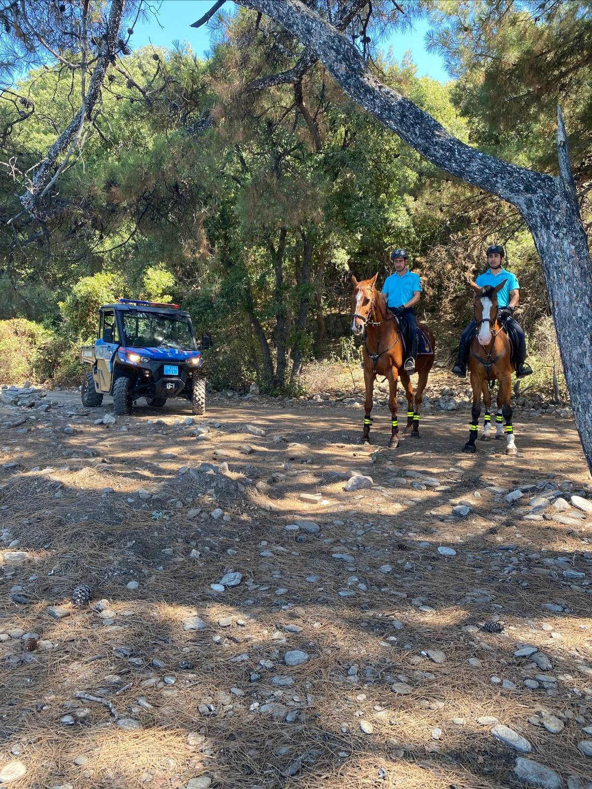 Aydın’da Jandarma Ormanda Nöbete Devam Ediyor (3)