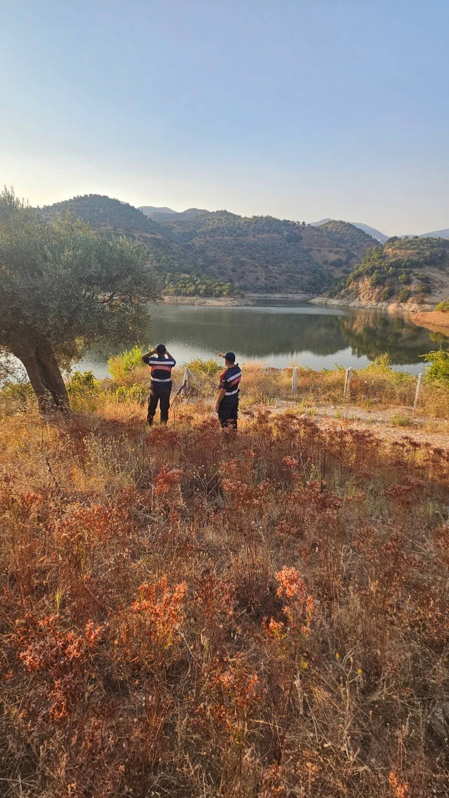 Aydın’da Jandarma Ormanlık Bölgede (2)