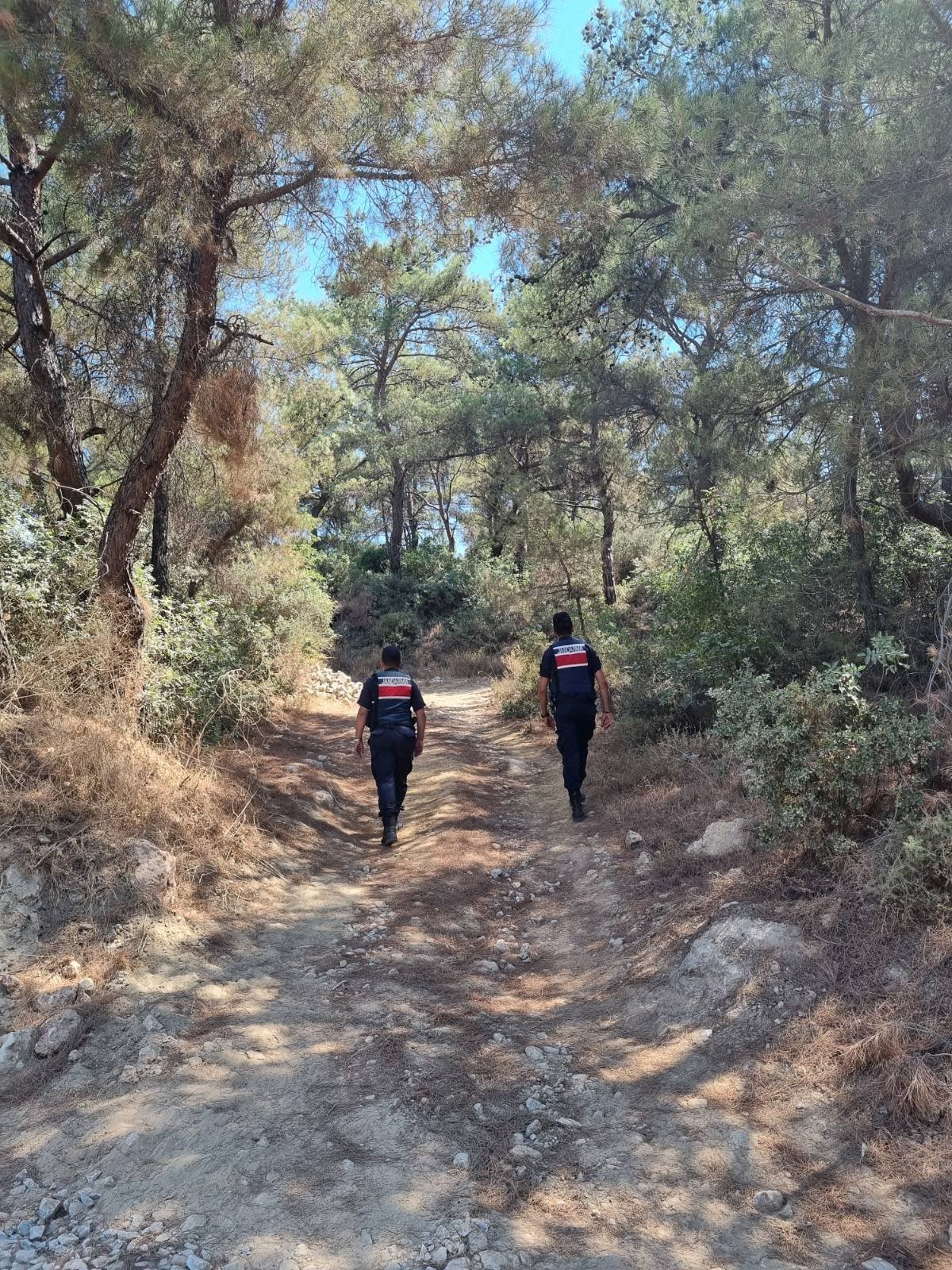 Aydın’da Jandarma Ormanlık Bölgede