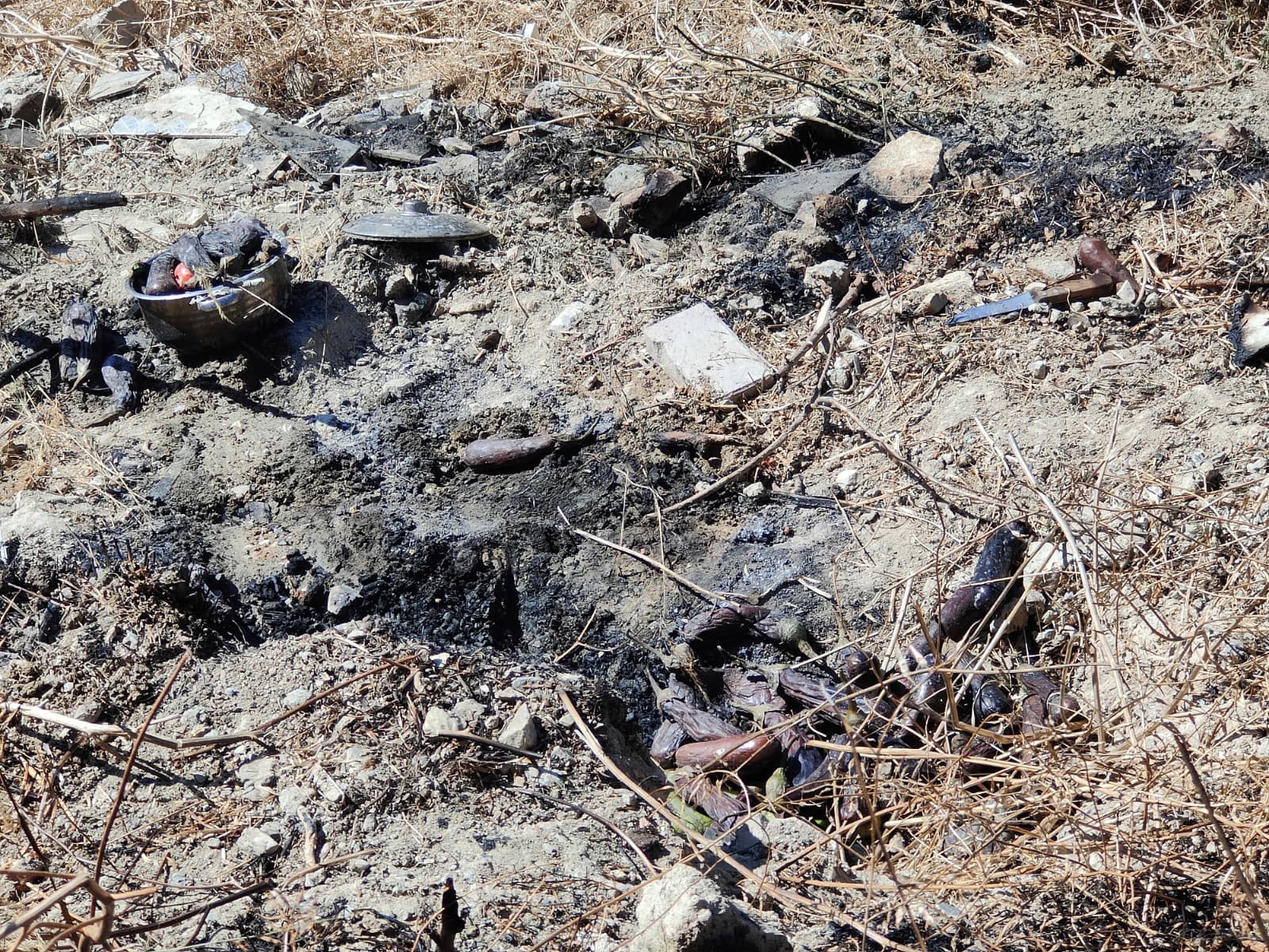 Aydın’da Patlıcan Közlerken Yangın Çıkardı, 25 Metrelik Uçurumdan Yuvarlandı (4)