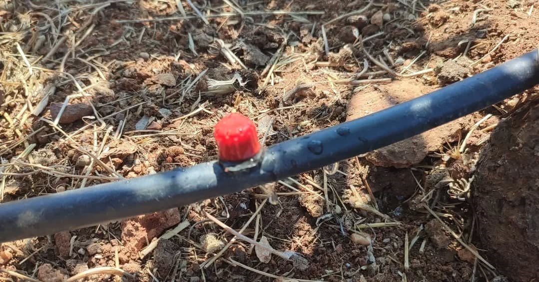 Aydın’da Yağmur Suyu Hasadı Sistemiyle 20 Ton Su Tasarrufu Sağlandı (4)