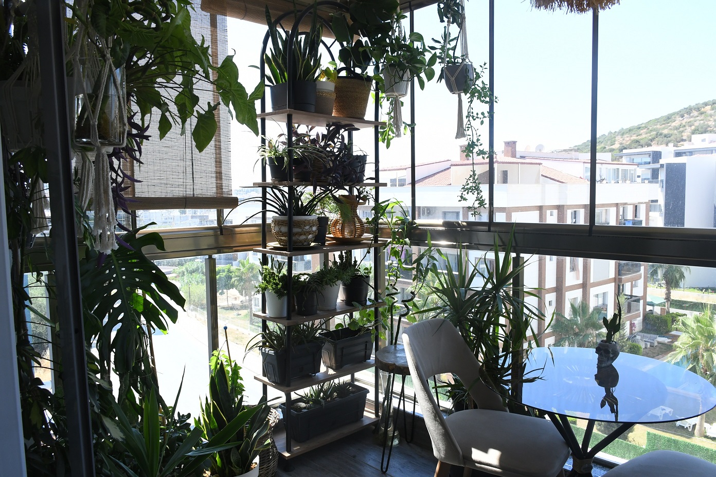 Balkon Bahçe Yarışması (2)