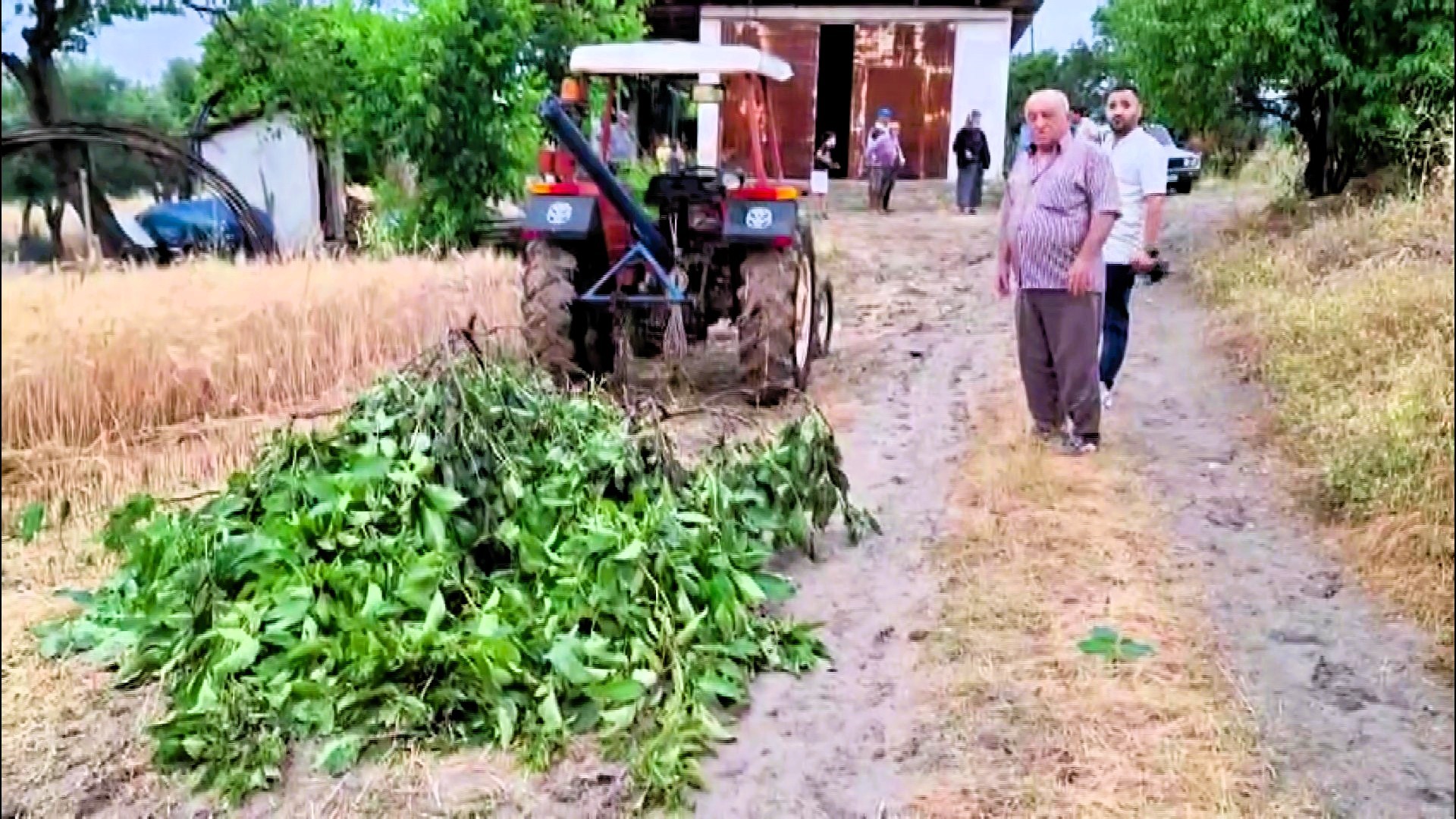 Ekili Araziye Düşen Yıldırım 8 Ton Buğdayı Kül Etti (2)