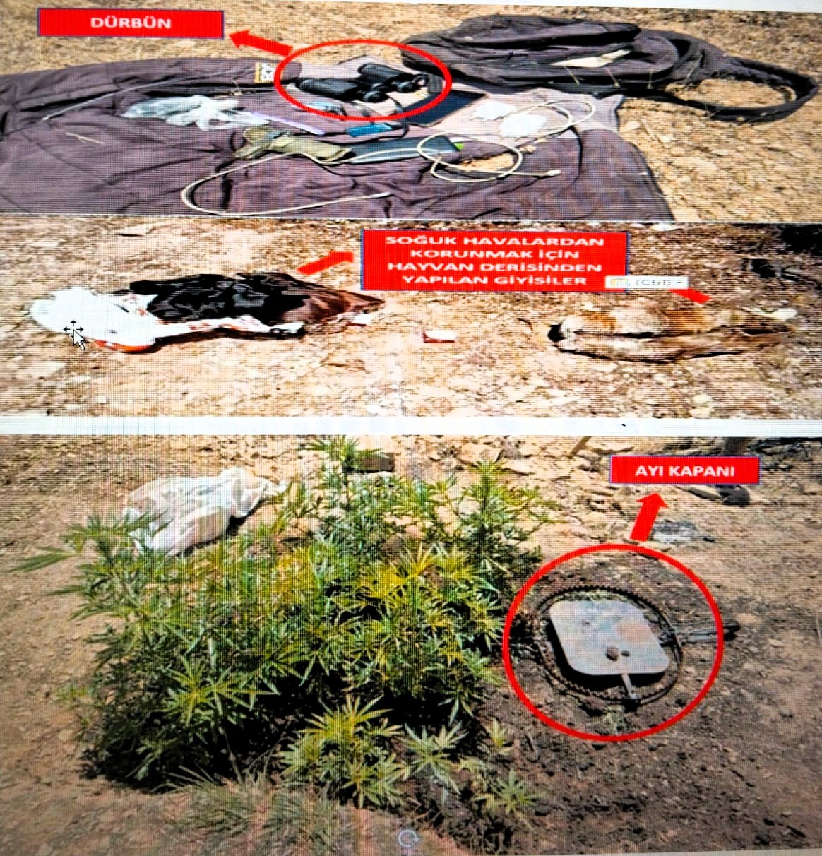 Ormanlık Alanda Kıskıvrak Yakalandı (3)