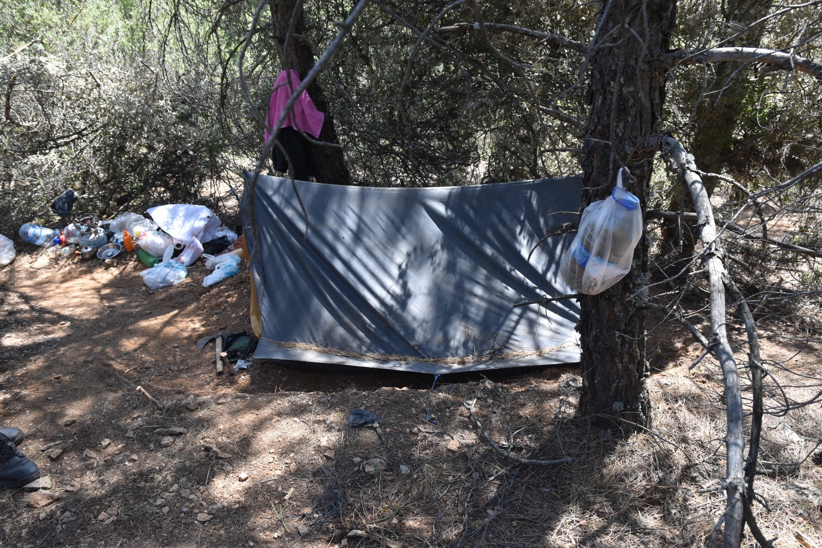 Ormanlık Alanda Kıskıvrak Yakalandı (4)