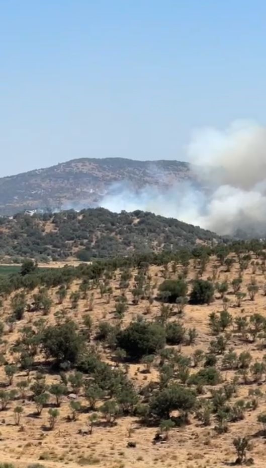 Son Dakika.. Orman Yangını Başladı (2)