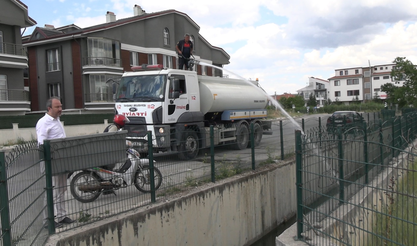 Toplu Balık Ölümleri Korkuttu (3)