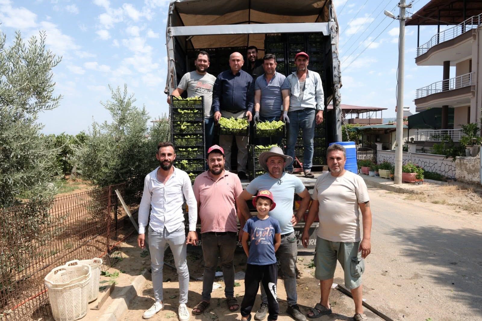 Üzüm Sezonu Başladı (5)