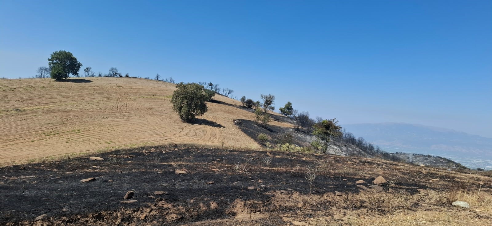 Yangından Geriye Küle Dönen Evler Ve Tarlalar Kaldı (3)