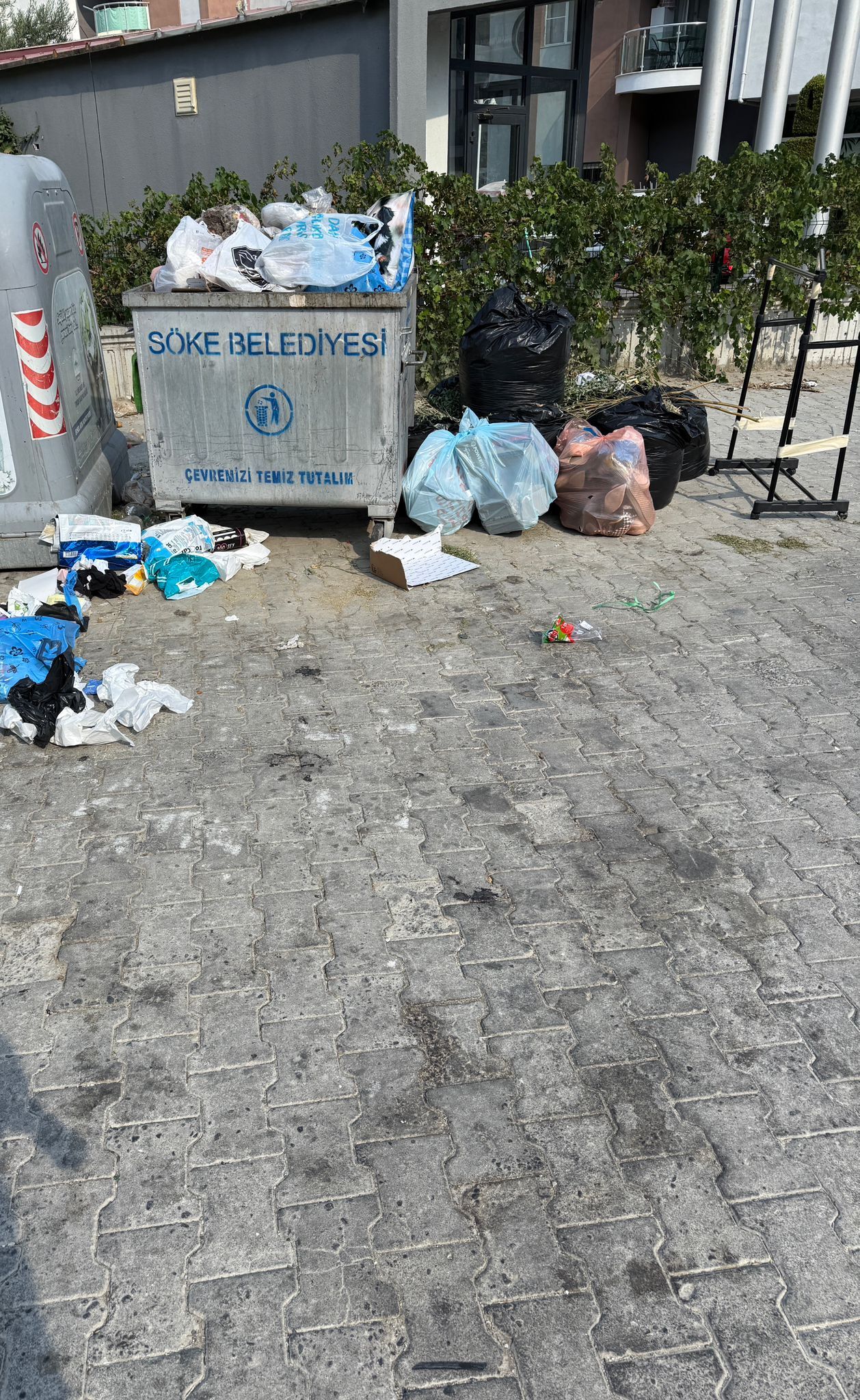 Ak Partili Arıkan’a Tepki Söke’de Toplanmayan Çöpler Hastalığa Davetiye Çıkartıyor