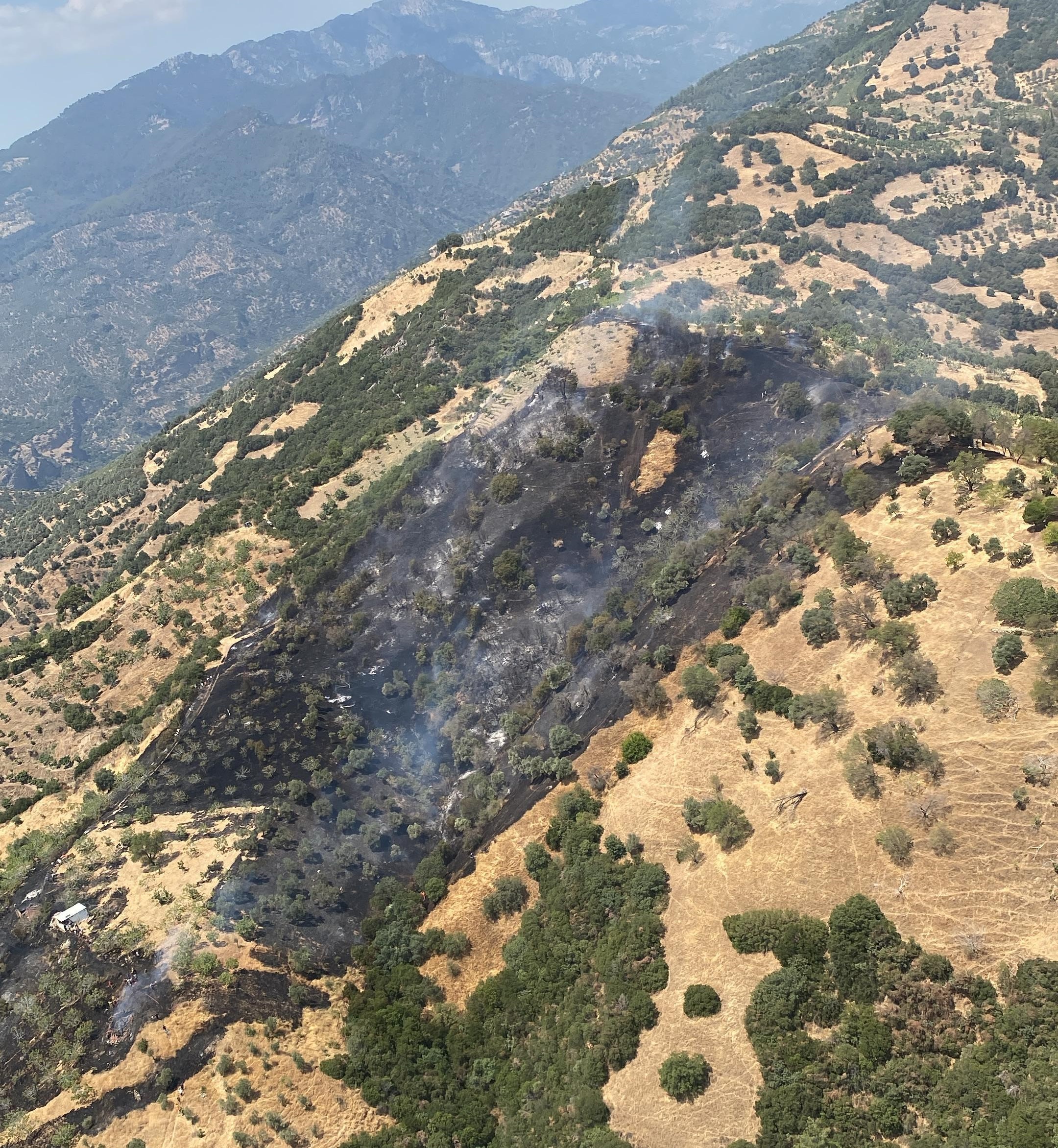 Aydın Zirai Alan Yangını Kontrol Altına Alındı