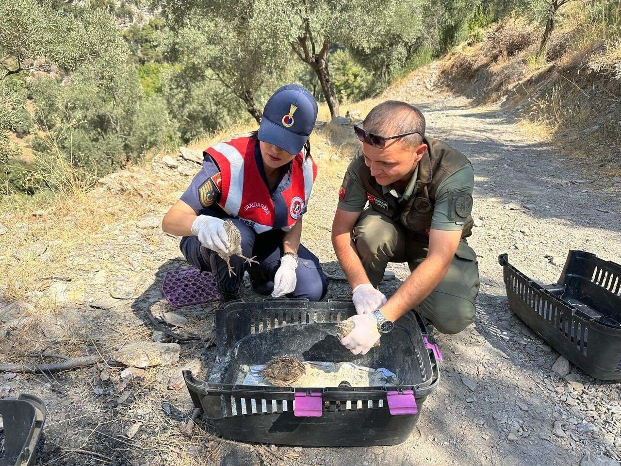 Aydın’da 25 Bıldırcın, 21 Keklik Ele Geçirildi (2)