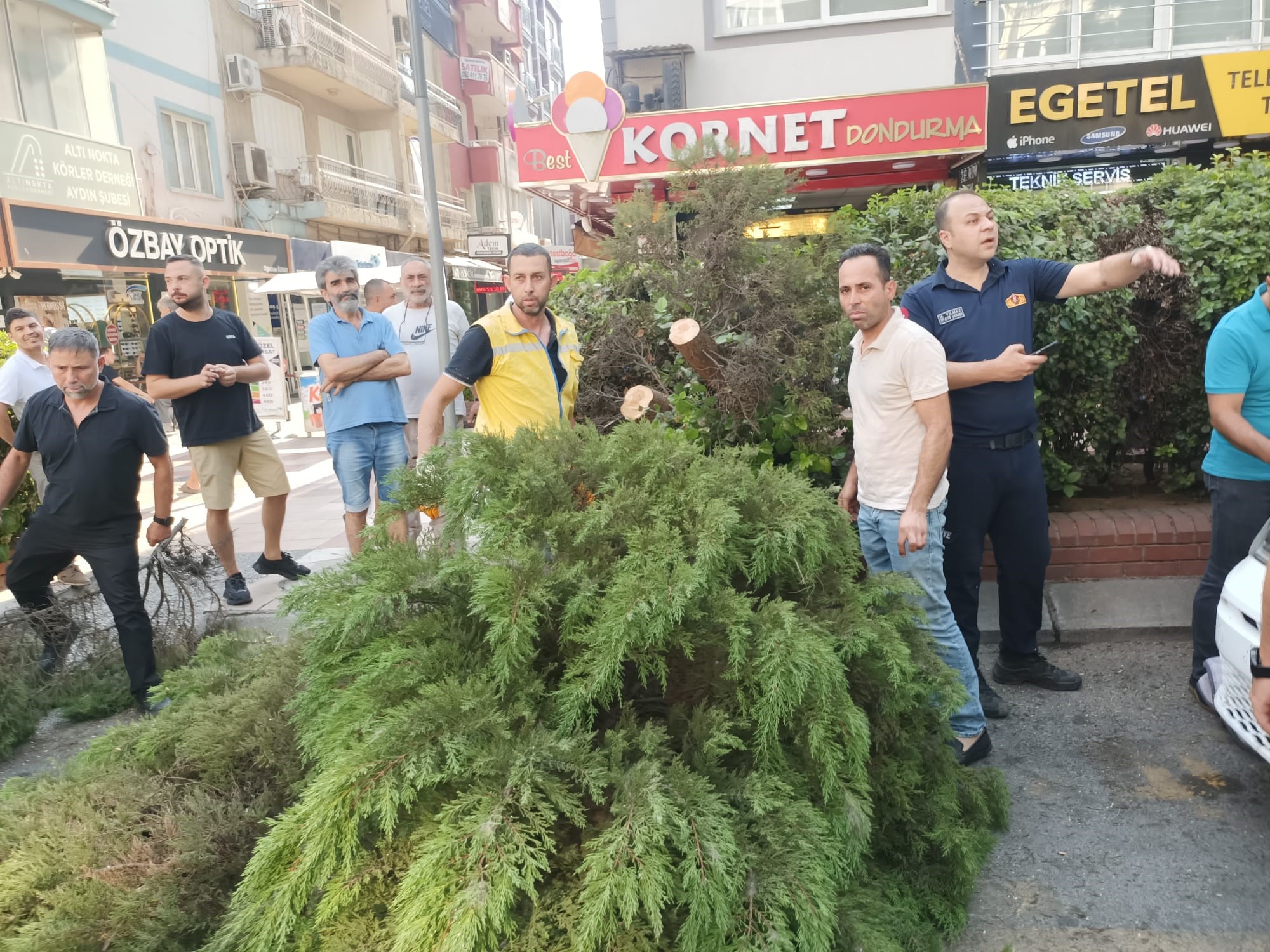 Aydın’da Ağaç Aracın Üstüne Devrildi (2)