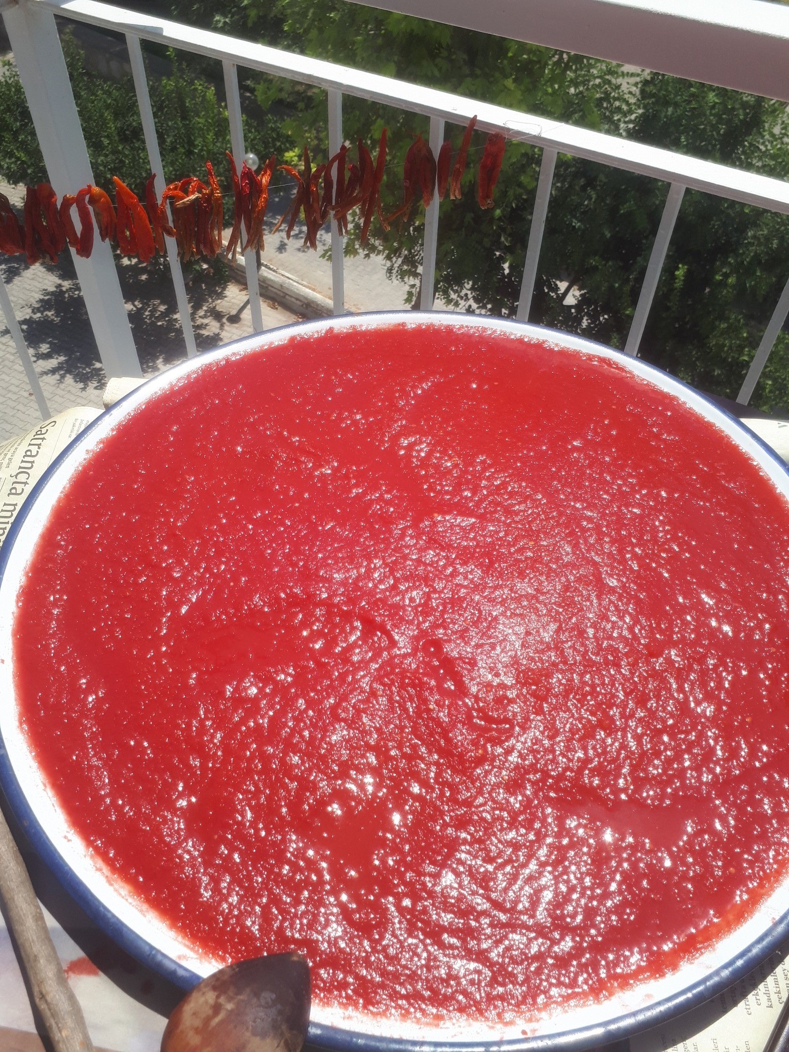 Aydın’da Balkonlar Kırmızıya Boyandı